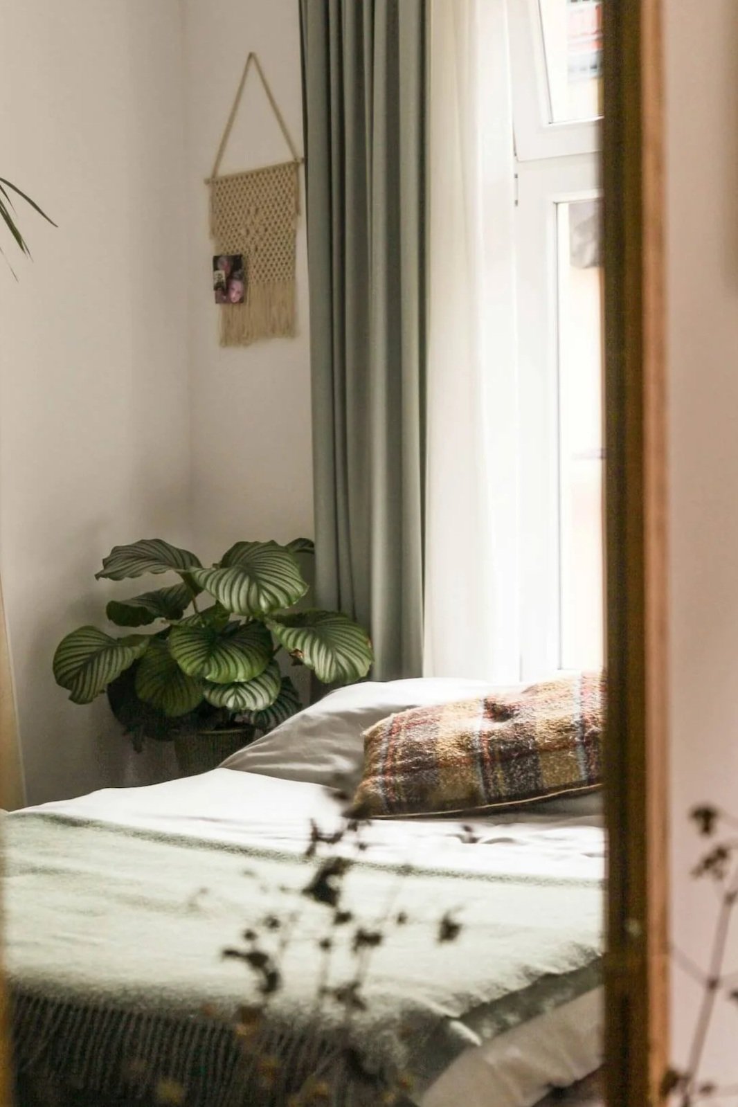 A calm, uncluttered bedroom corner with a plant and natural light