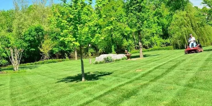 A person riding a lawnmower on freshly mowed grass in a park-like setting with green trees and a large rock.