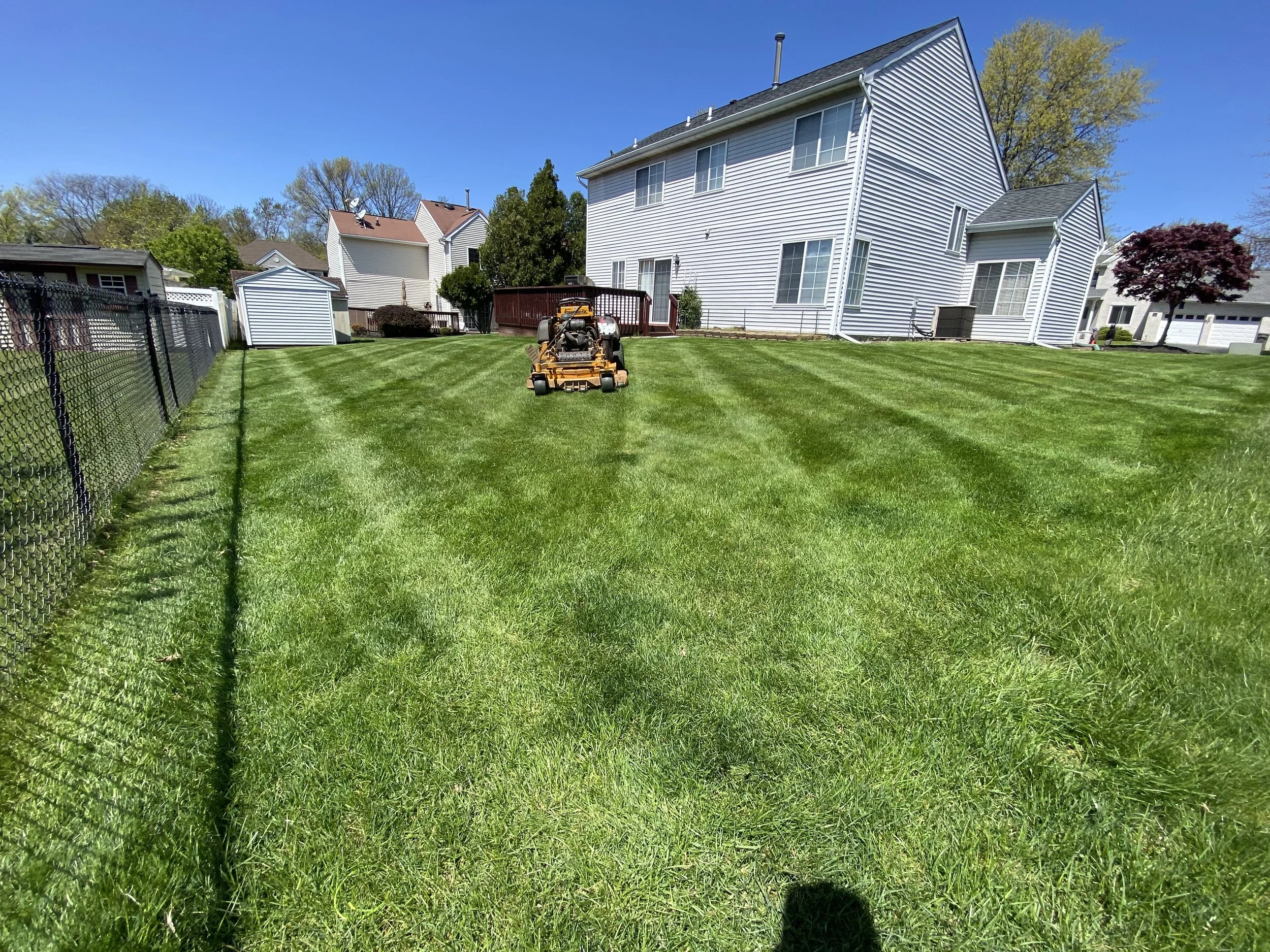 A backyard with freshly cut grass, a lawn mower, and a large white house with multiple windows. There are trees, fences, and smaller structures in the background under a clear blue sky.