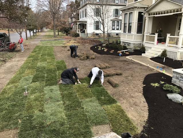People laying sod in a front yard of a house, with some trees and neighboring houses in the background.