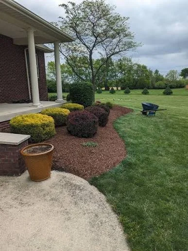 A front yard with a concrete walkway, a brick house with white columns, landscaped bushes, a large tree, and a wheelbarrow on the grass under a cloudy sky.