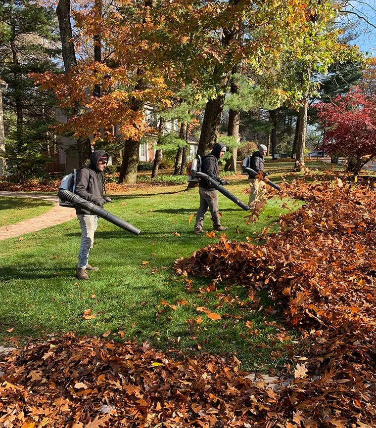 Fall cleanups