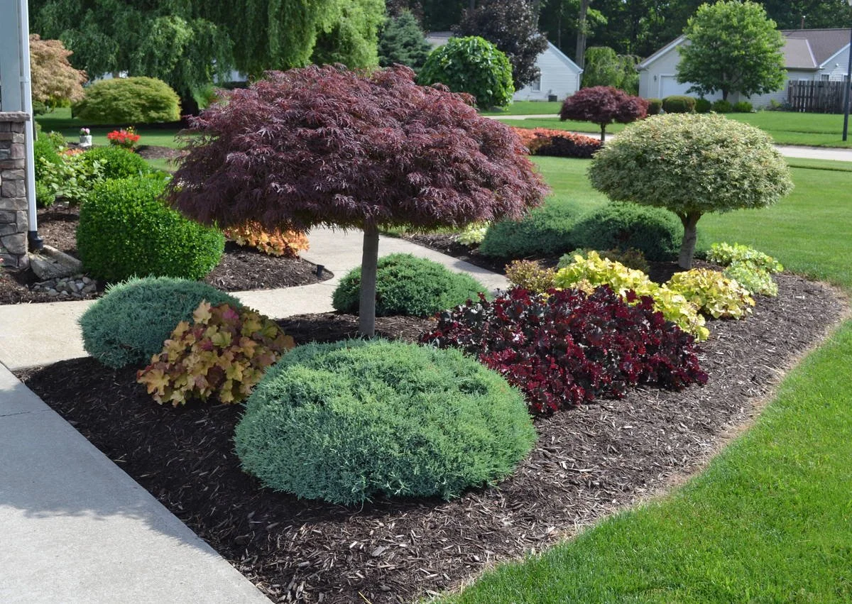 Well-maintained garden bed with colorful ornamental trees, shrubs, and flowers alongside a sidewalk in a suburban neighborhood.