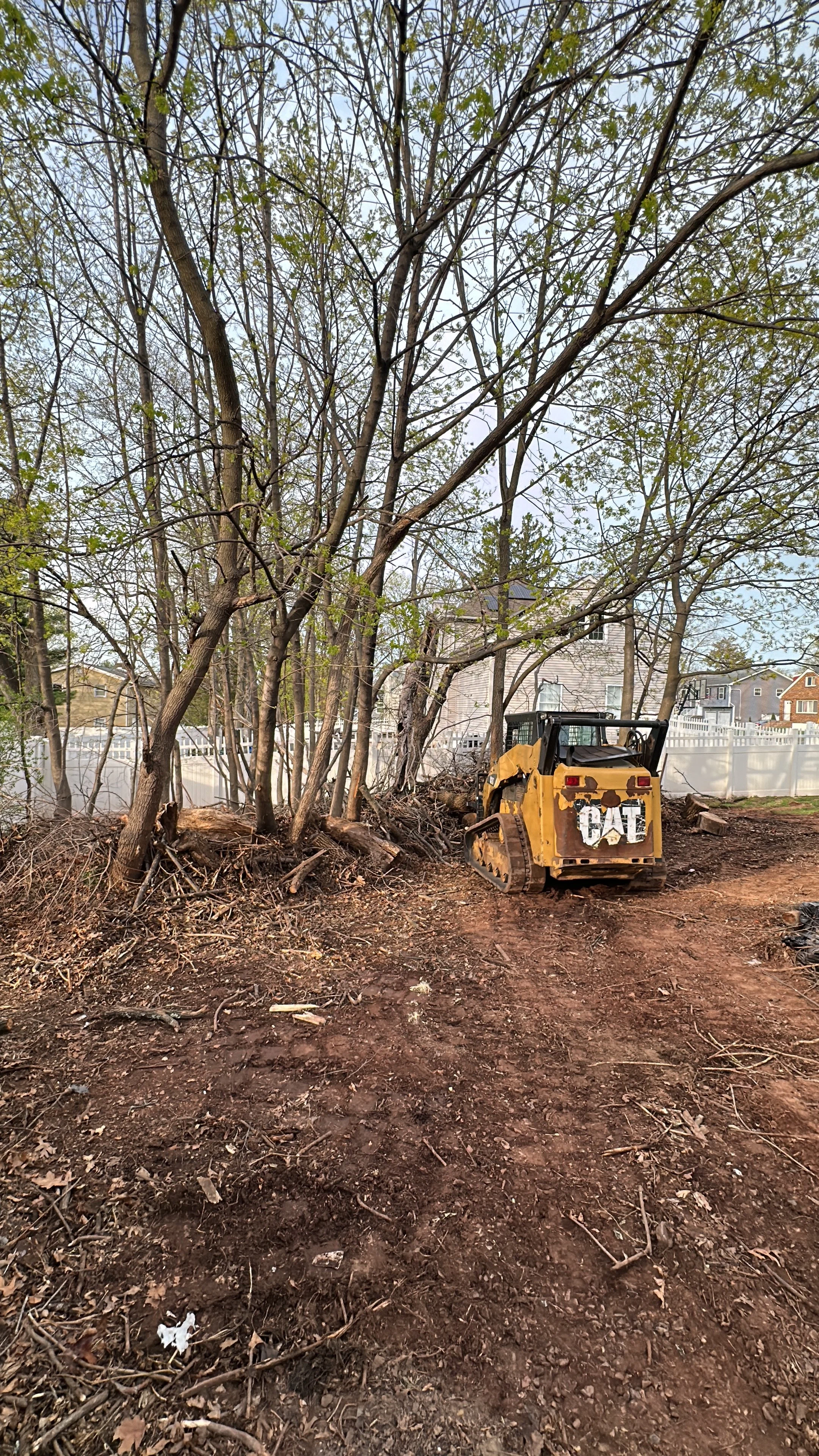 A small yellow construction vehicle with the brand name CAT parked on a dirt area, surrounded by trees and some fallen branches, with residential houses in the background.