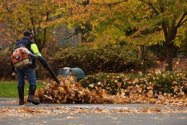 A worker using a leaf blower to clear fallen autumn leaves from a sidewalk in a park-like area.