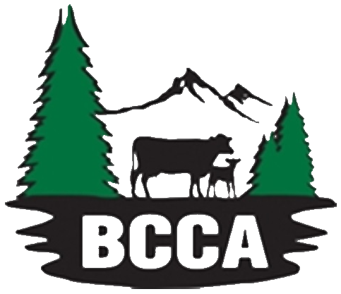 BCCA.png