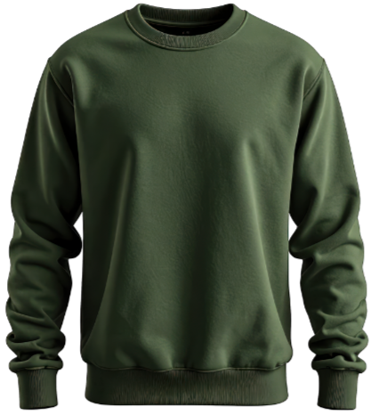 Green crewneck sweatshirt with long sleeves.