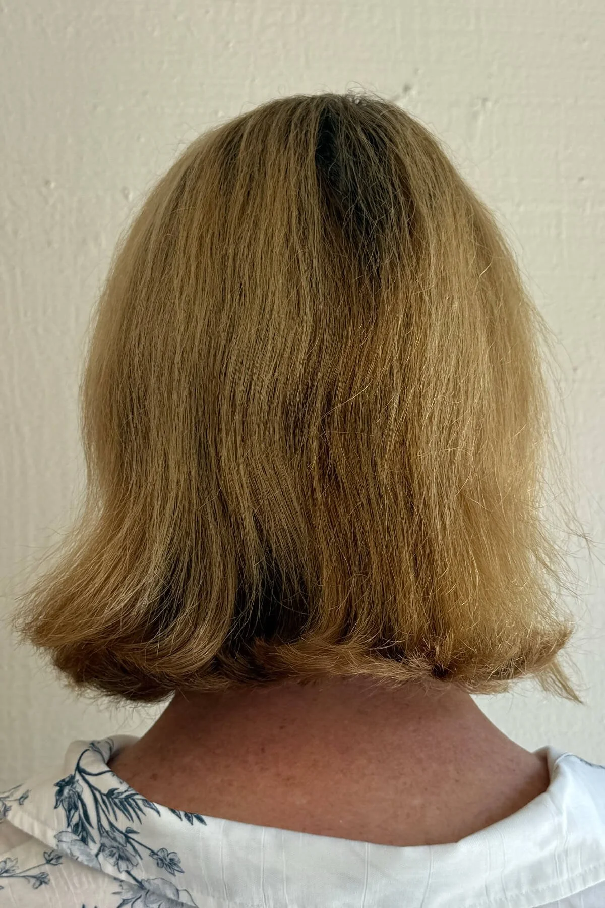 Before professional hair smoothing treatment showing dry, frizz-prone hair prior to personalized smoothing and restorative treatment.