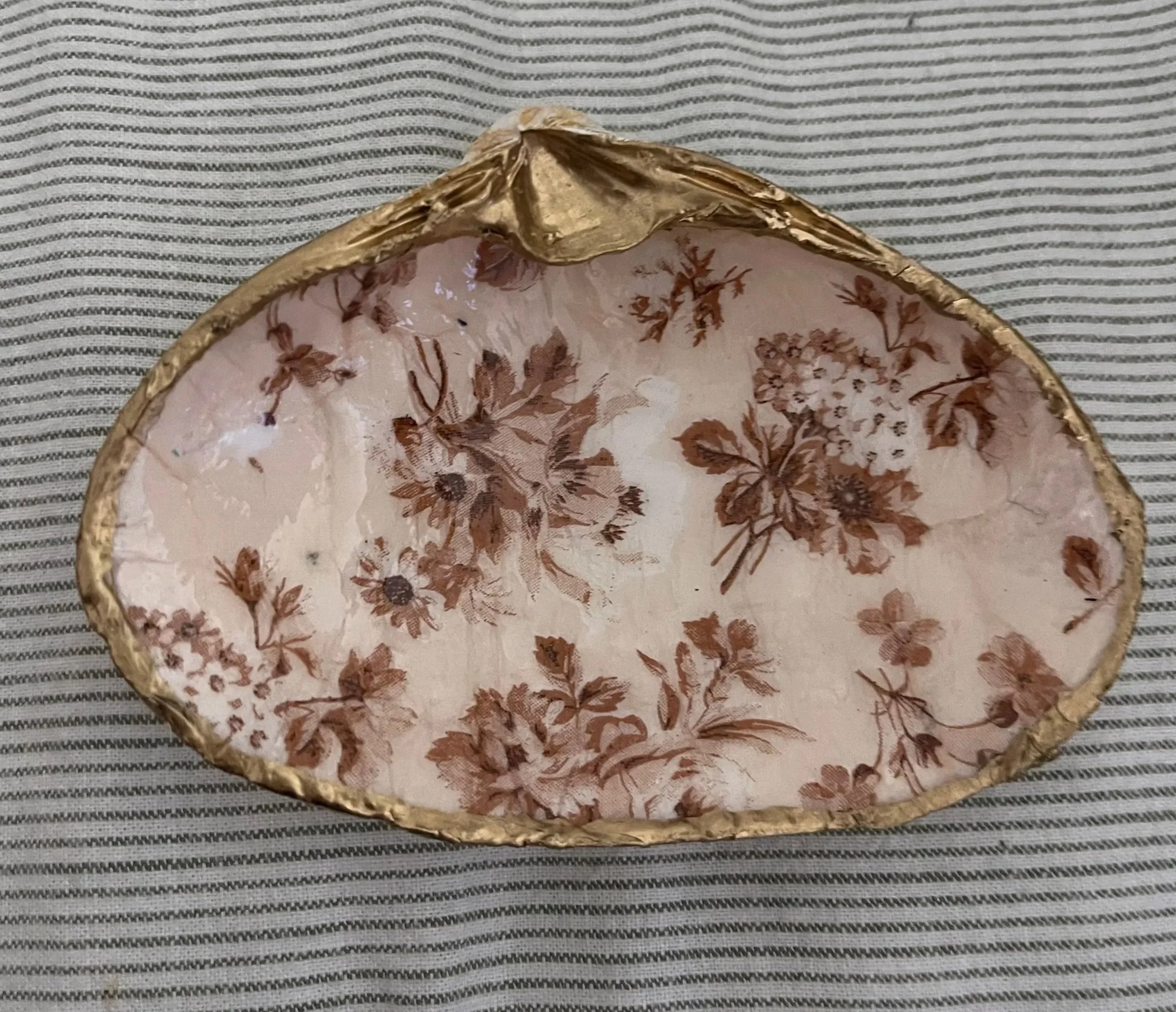 Large Clam Shell