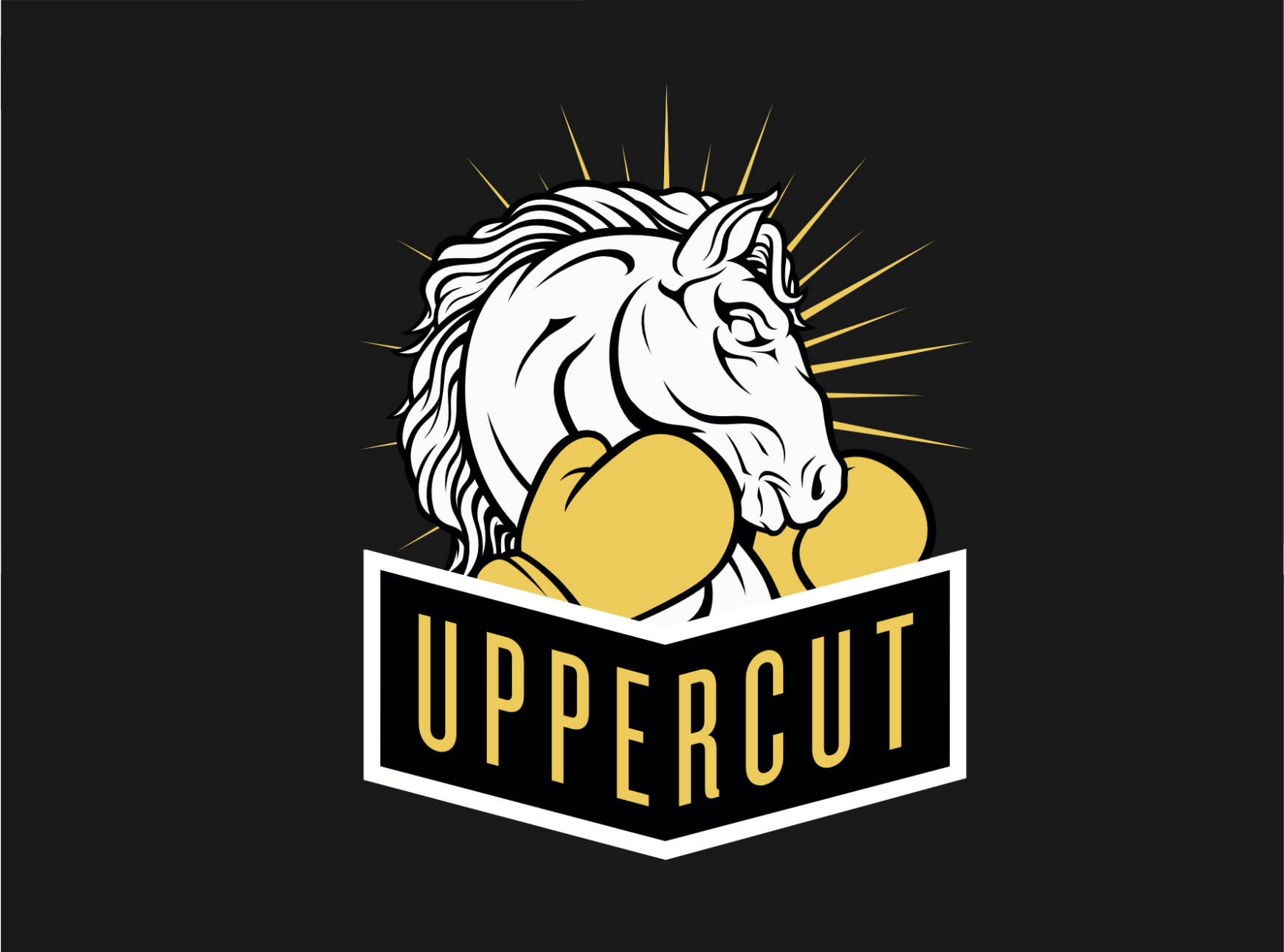 Uppercut premium paint supplies brand identity created for Inspirations Paint.