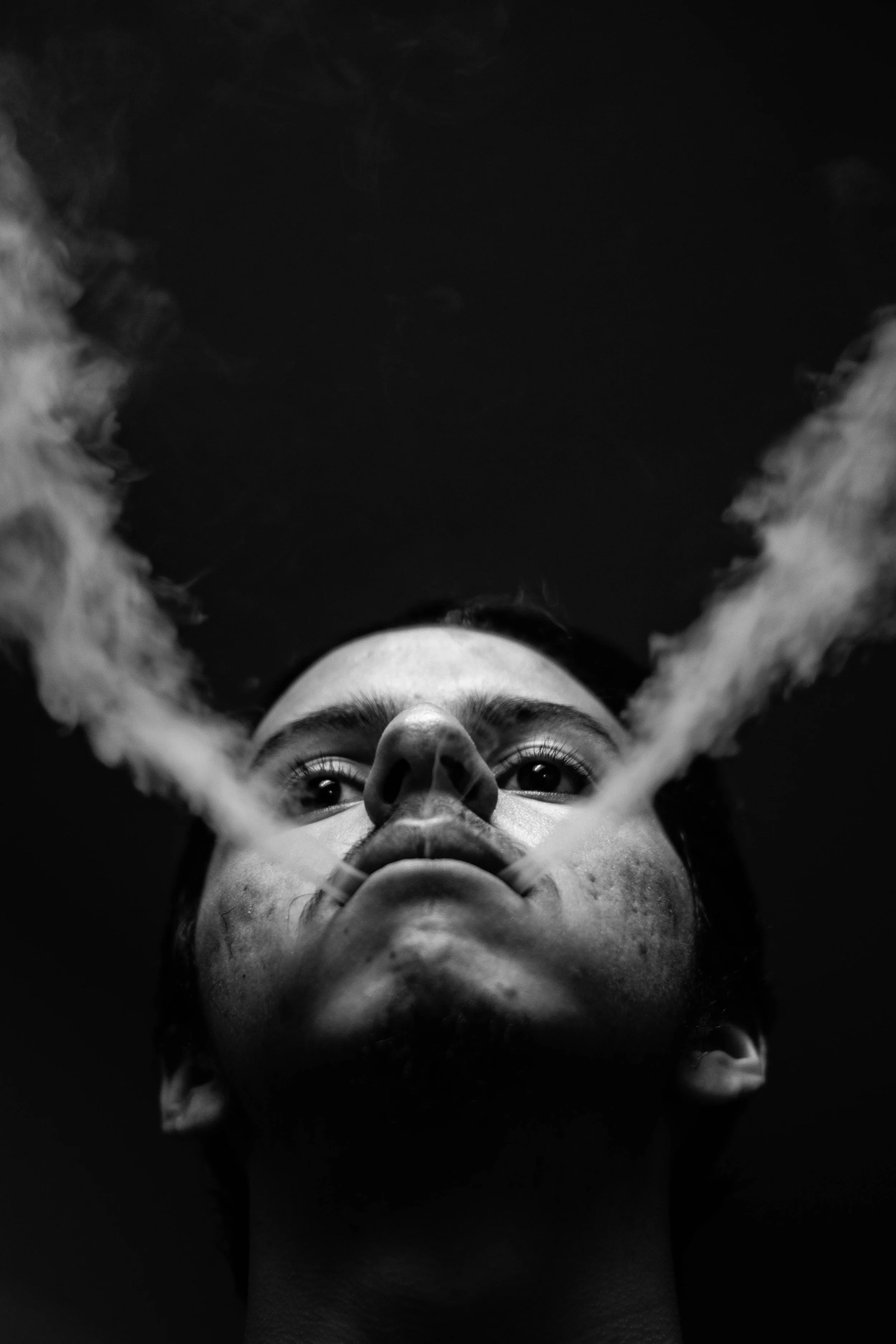 portrait (94).jpg