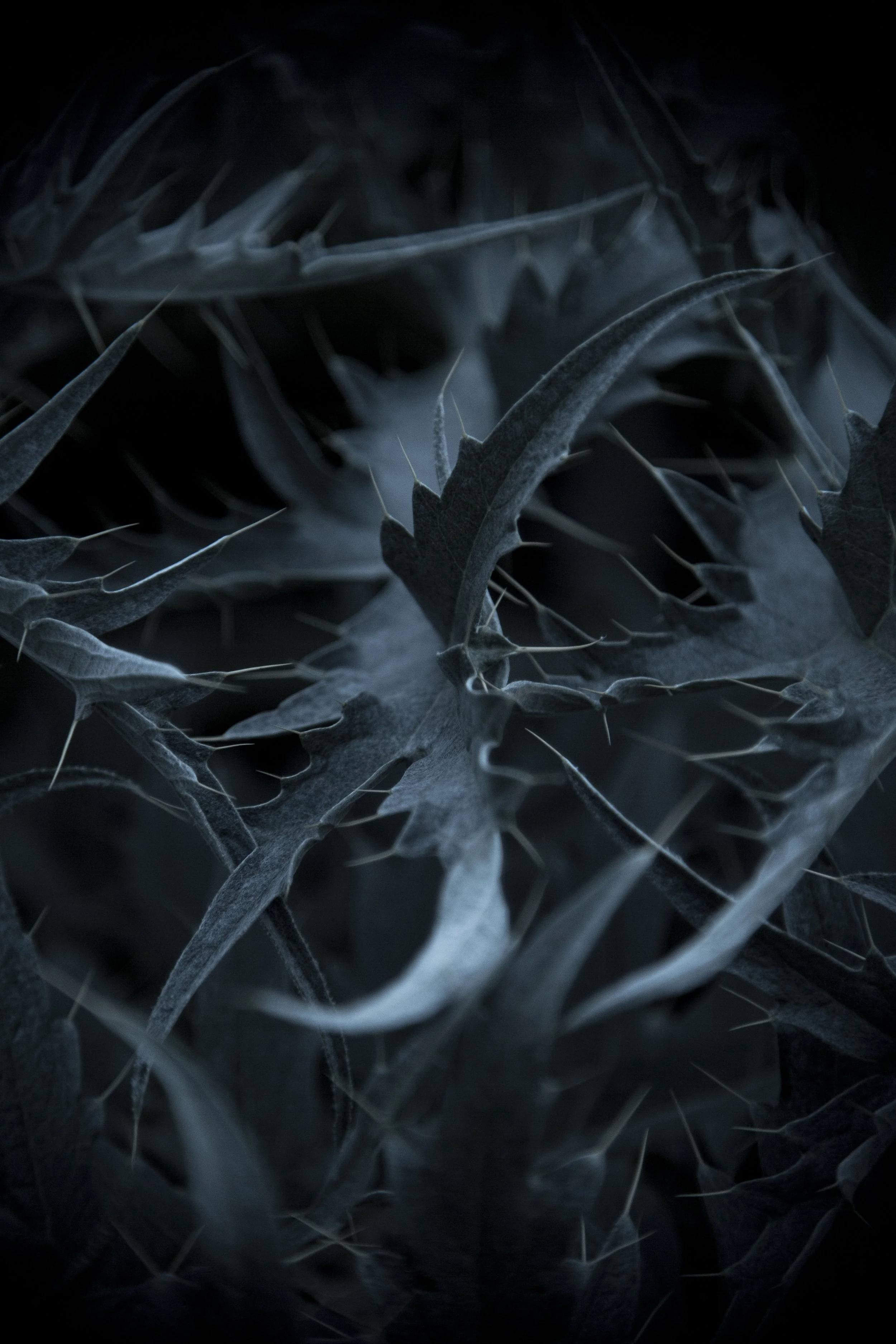 StitchinSkin_-17.jpg