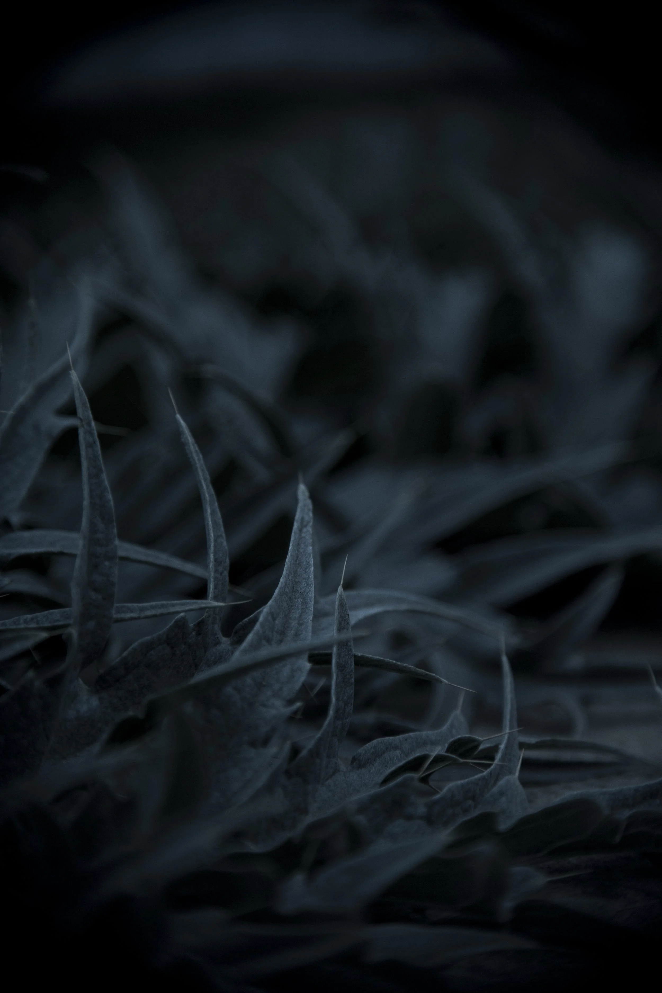 StitchinSkin_-10.jpg