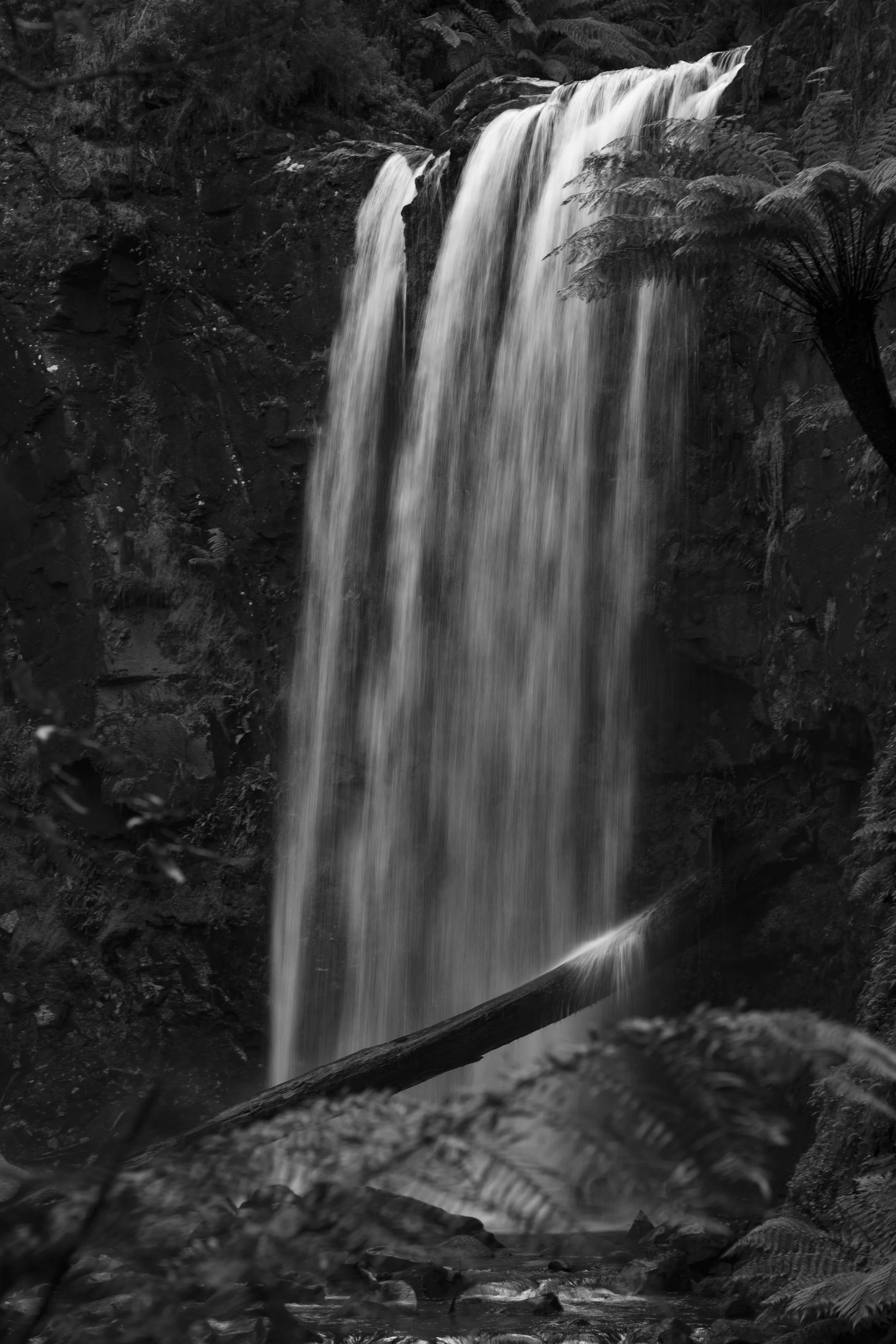 Nature Stills-4.jpg