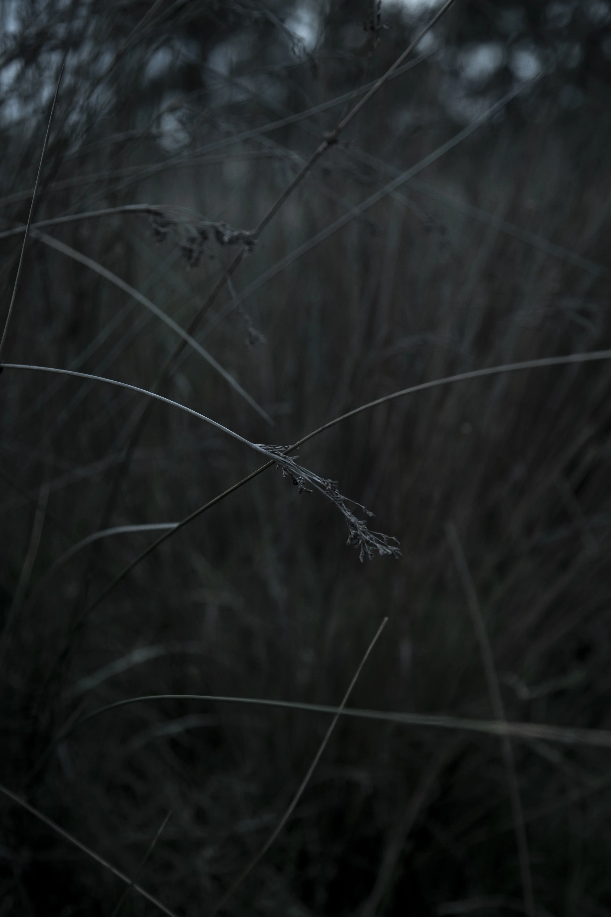 StitchinSkin_-13.jpg