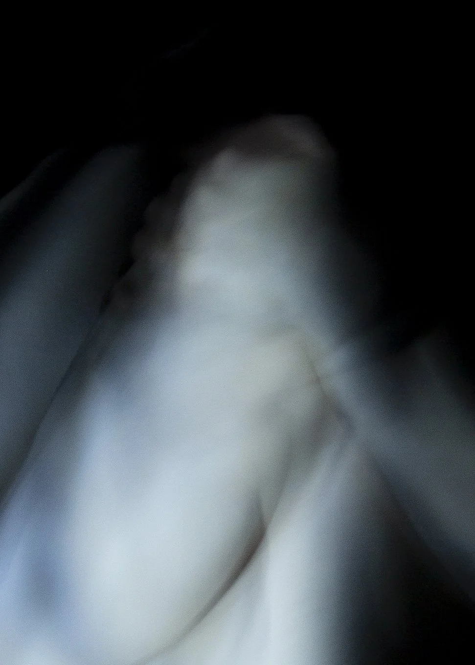 Shift_Folio 2023-7.jpg