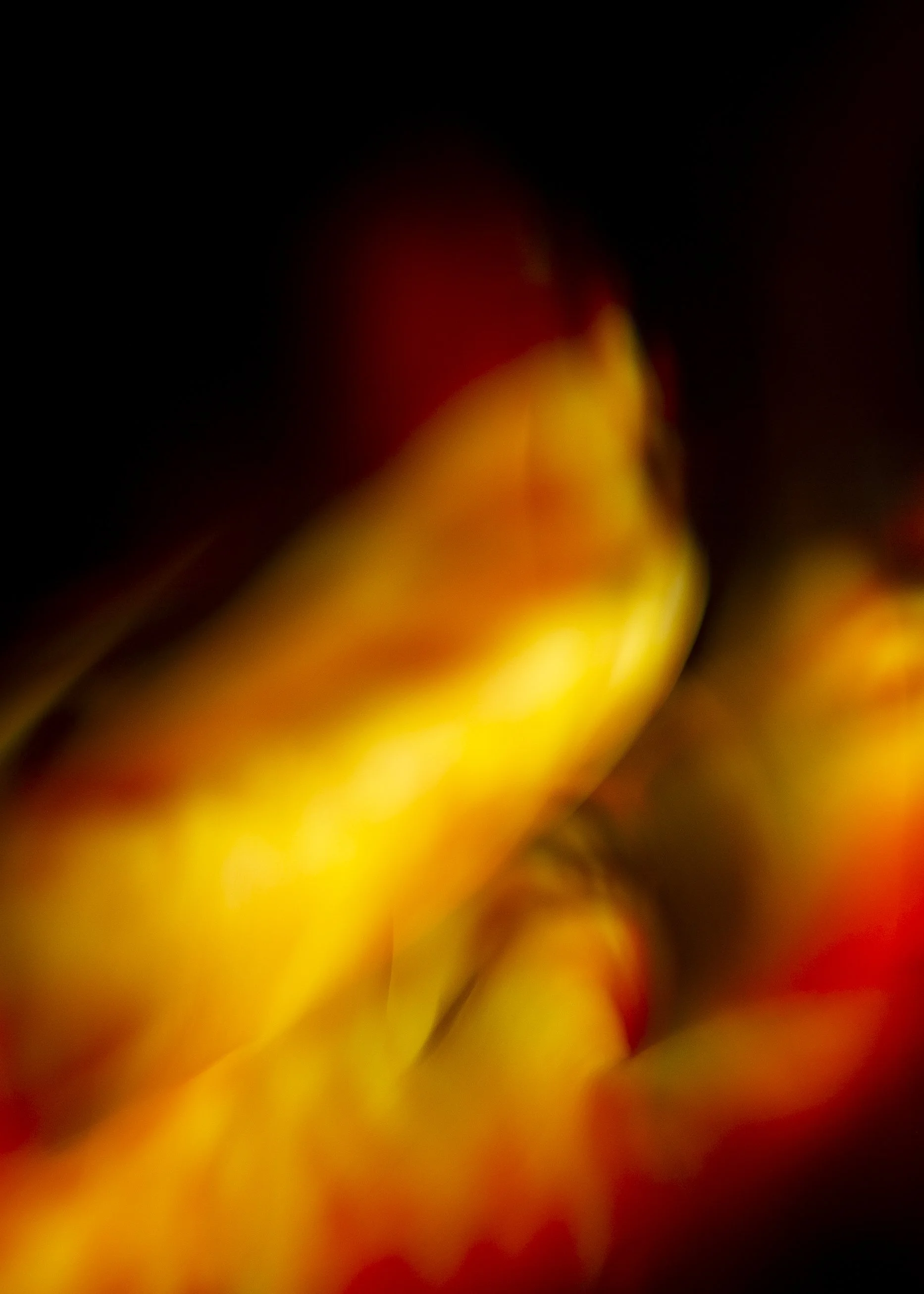 Shift_Folio 2023-6.jpg