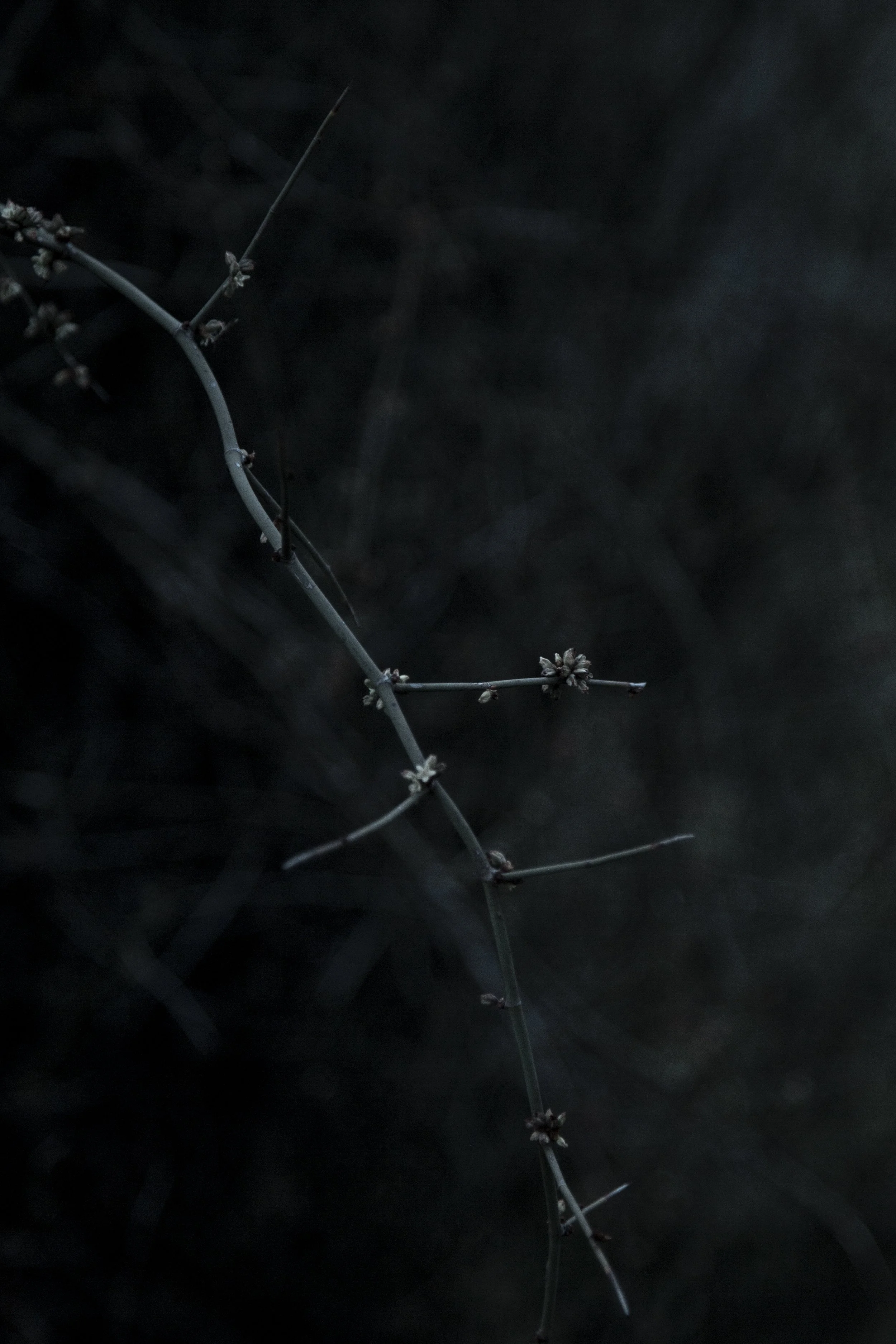 StitchinSkin_-6.jpg