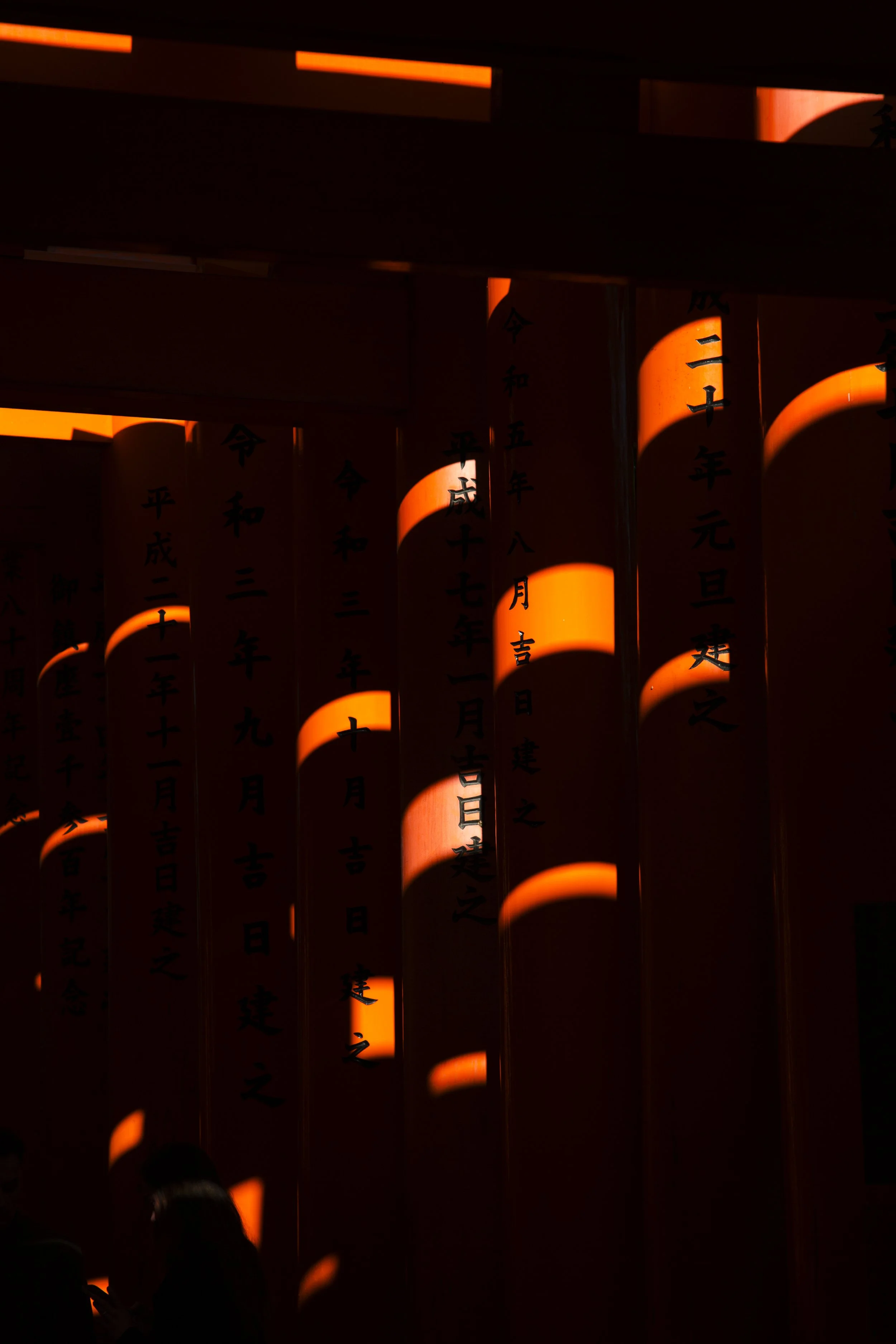 Japan Trip_2026-3.jpg