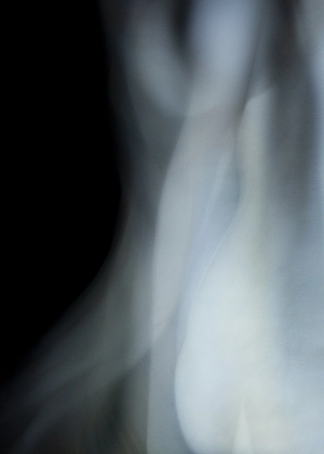 Shift_Folio 2023-8.jpg