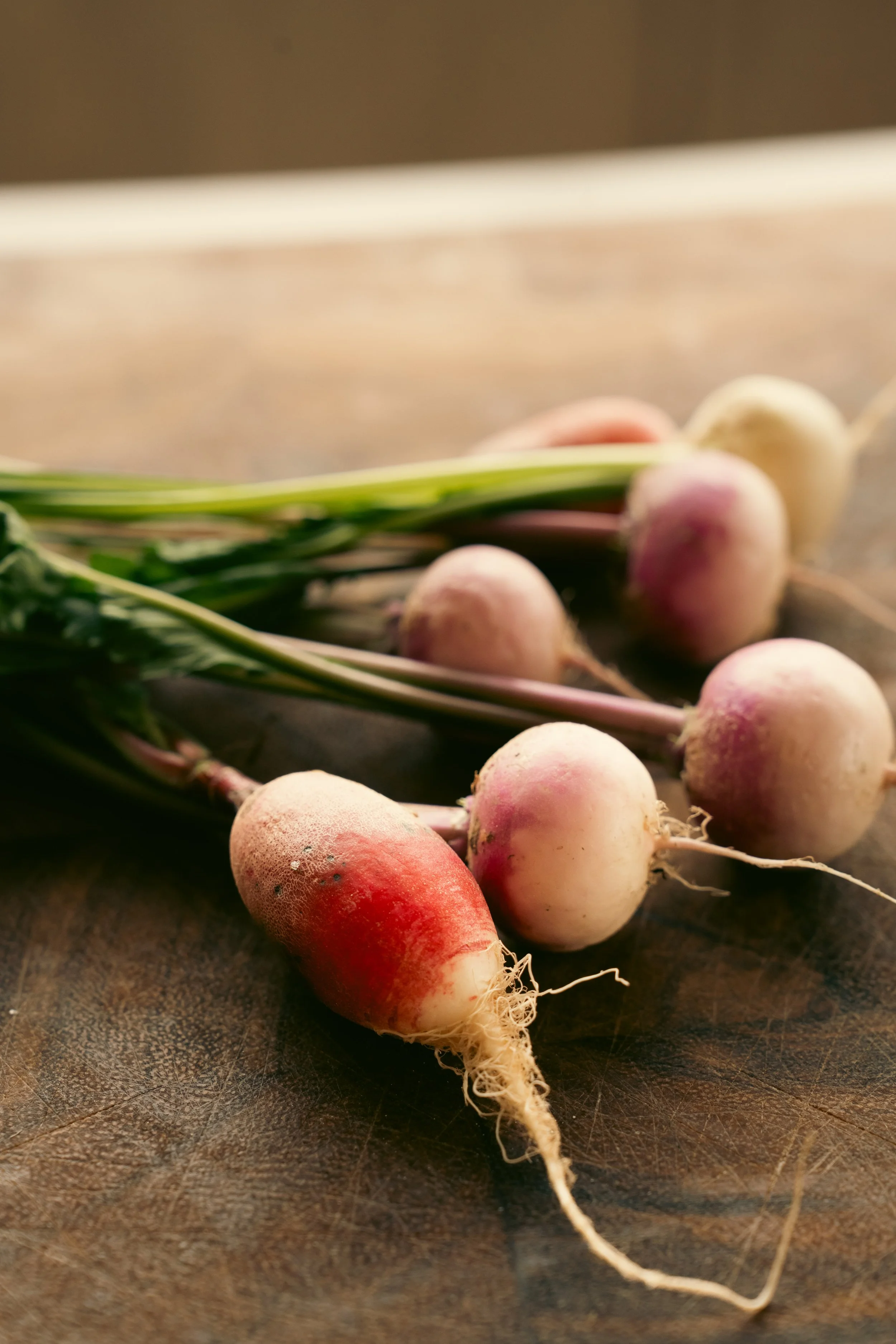 Freshly harvested produce from Elora Fine Farming.