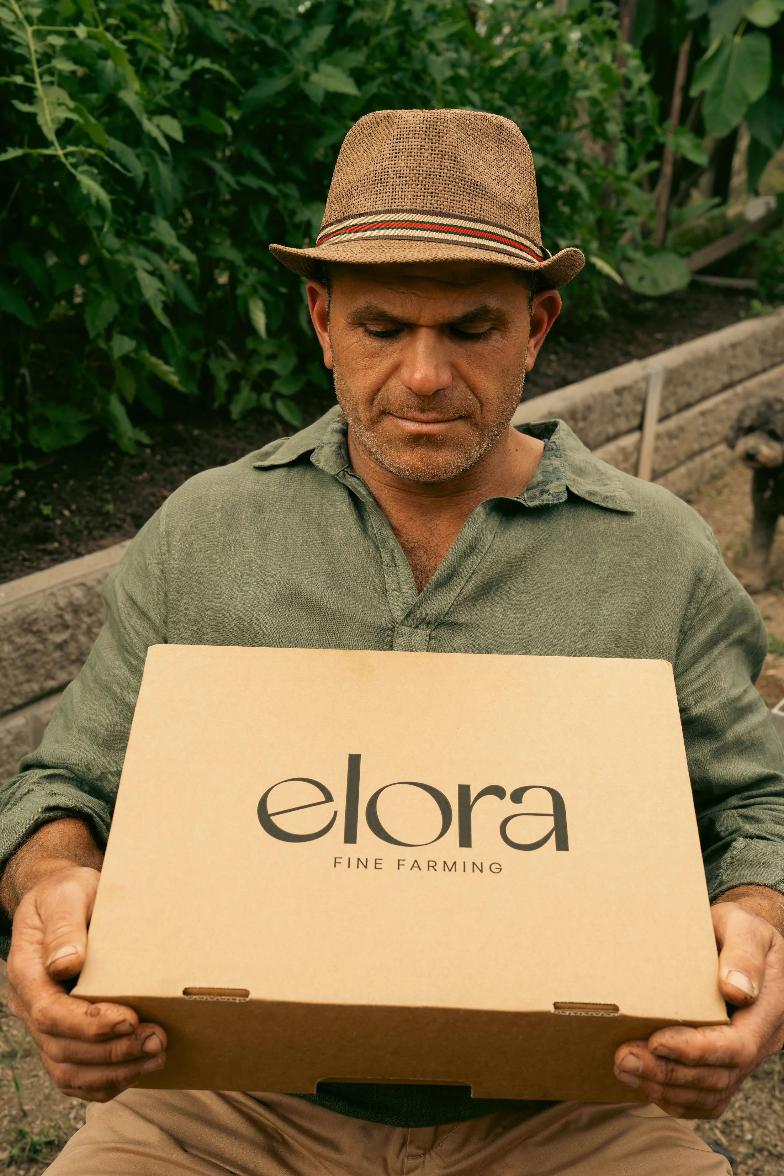 Jeffrey Borg preparing fresh produce deliveries for Elora Fine Farming.