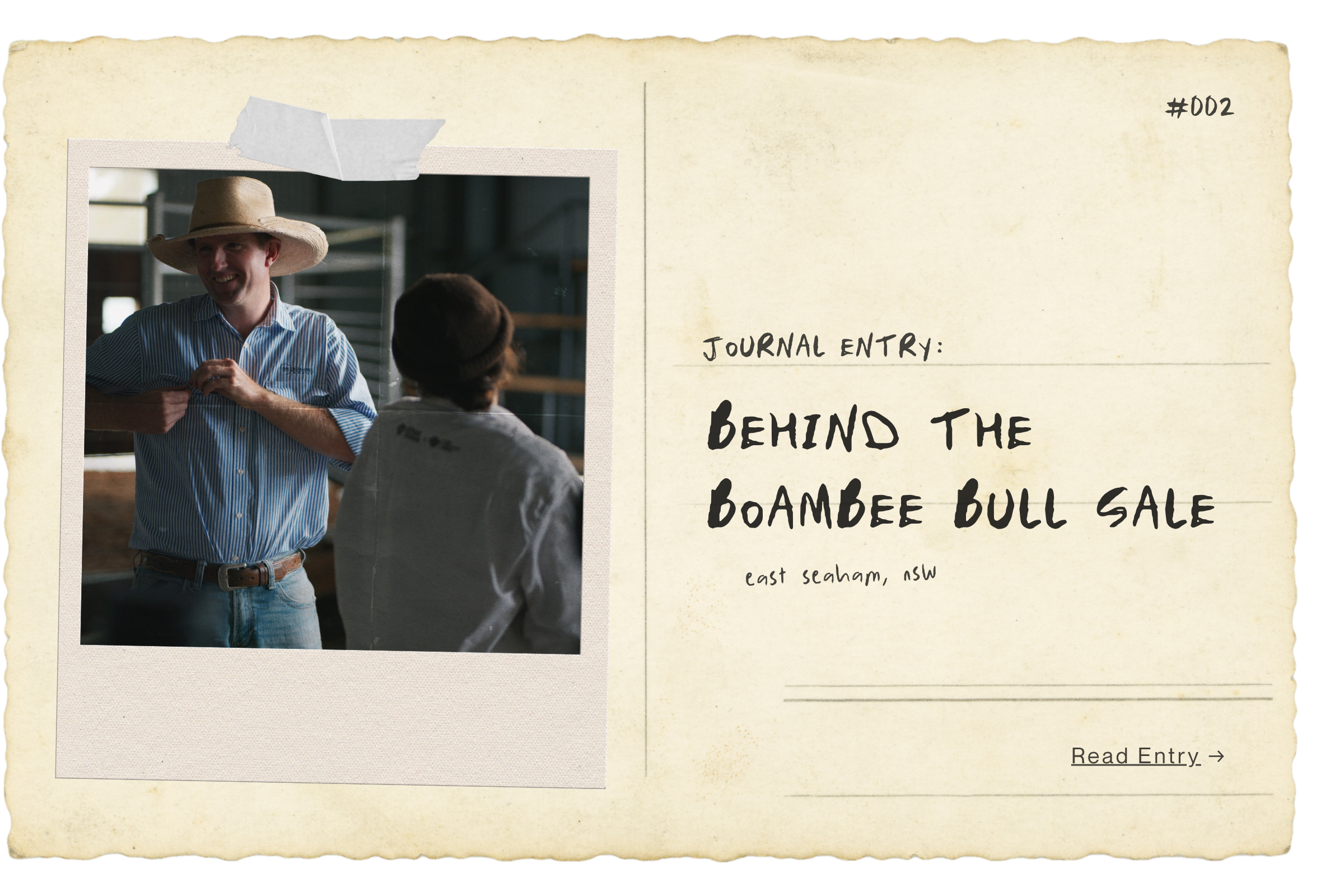 BEHIND THE BOAMBEE BULL SALE
