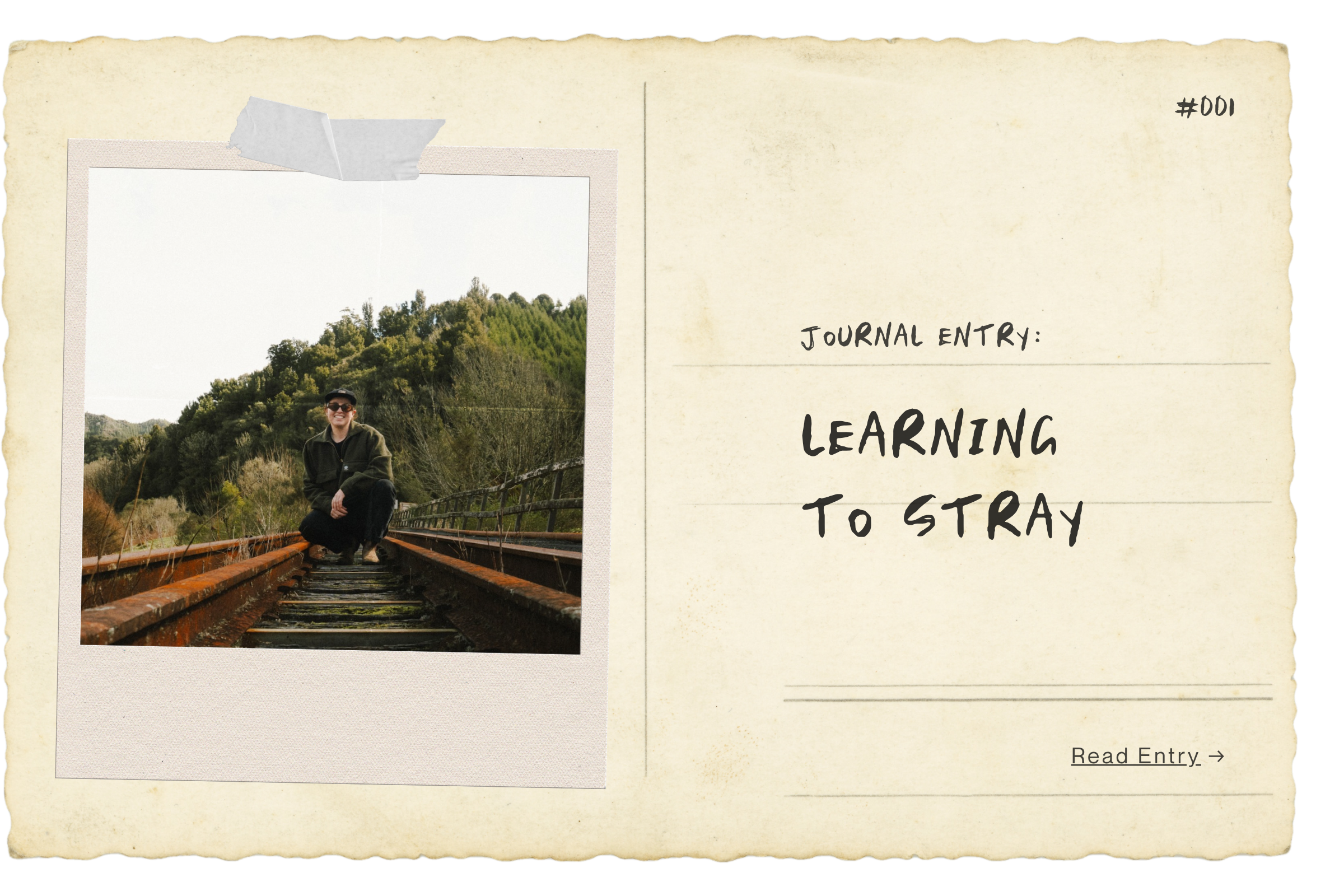 LEARNING TO STRAY