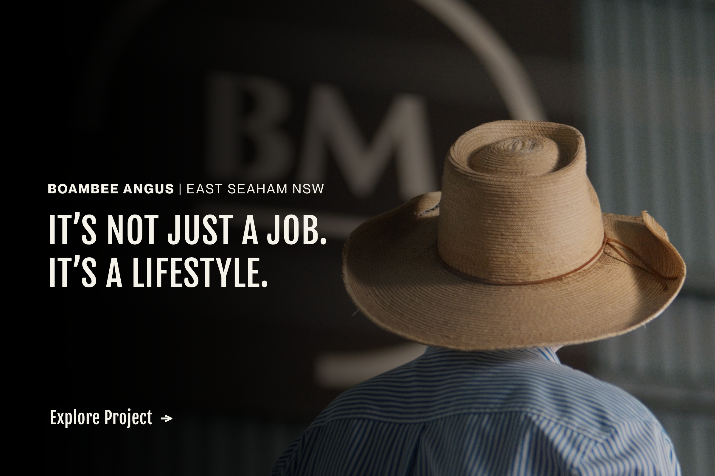 BOAMBEE ANGUS