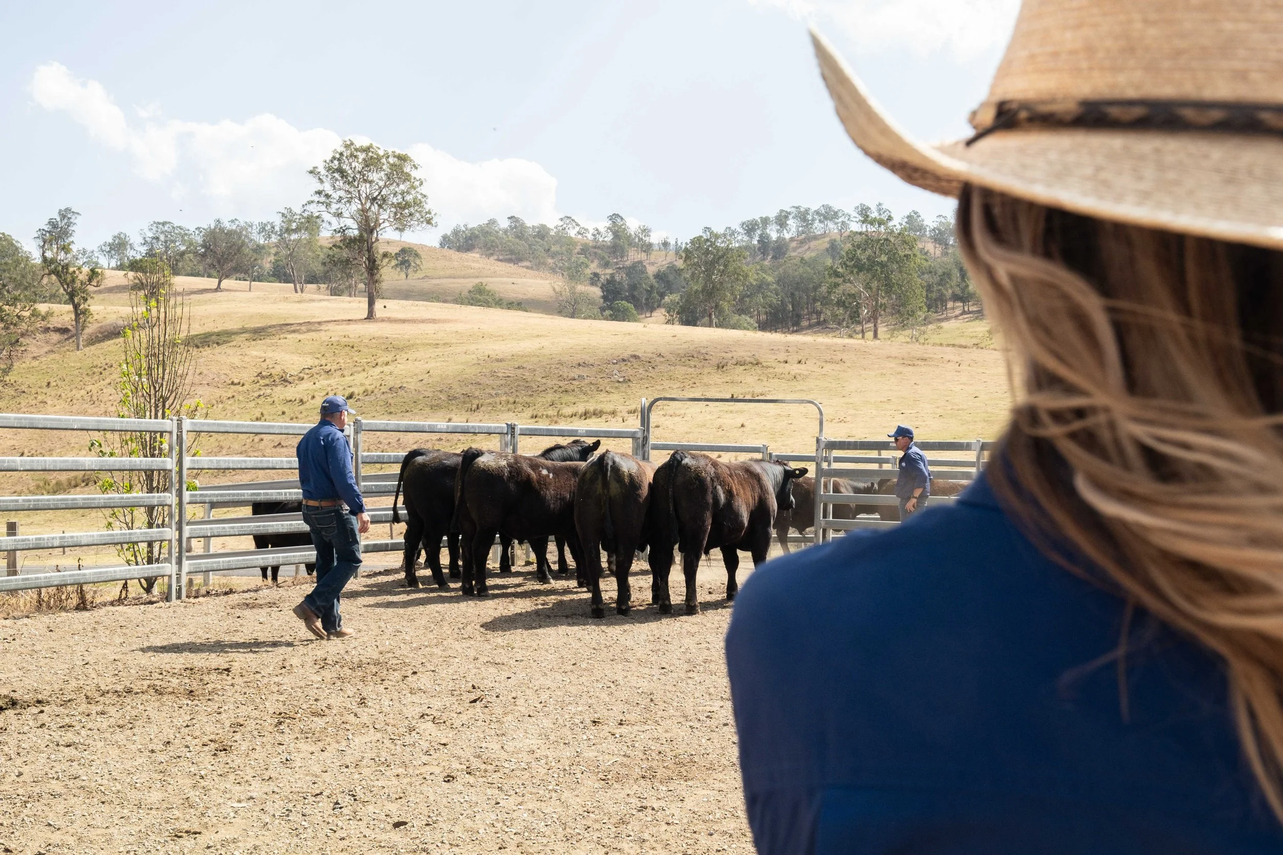 Just Country workwear detail photographed on location at Macka's Pastoral, Gloucester, NSW.