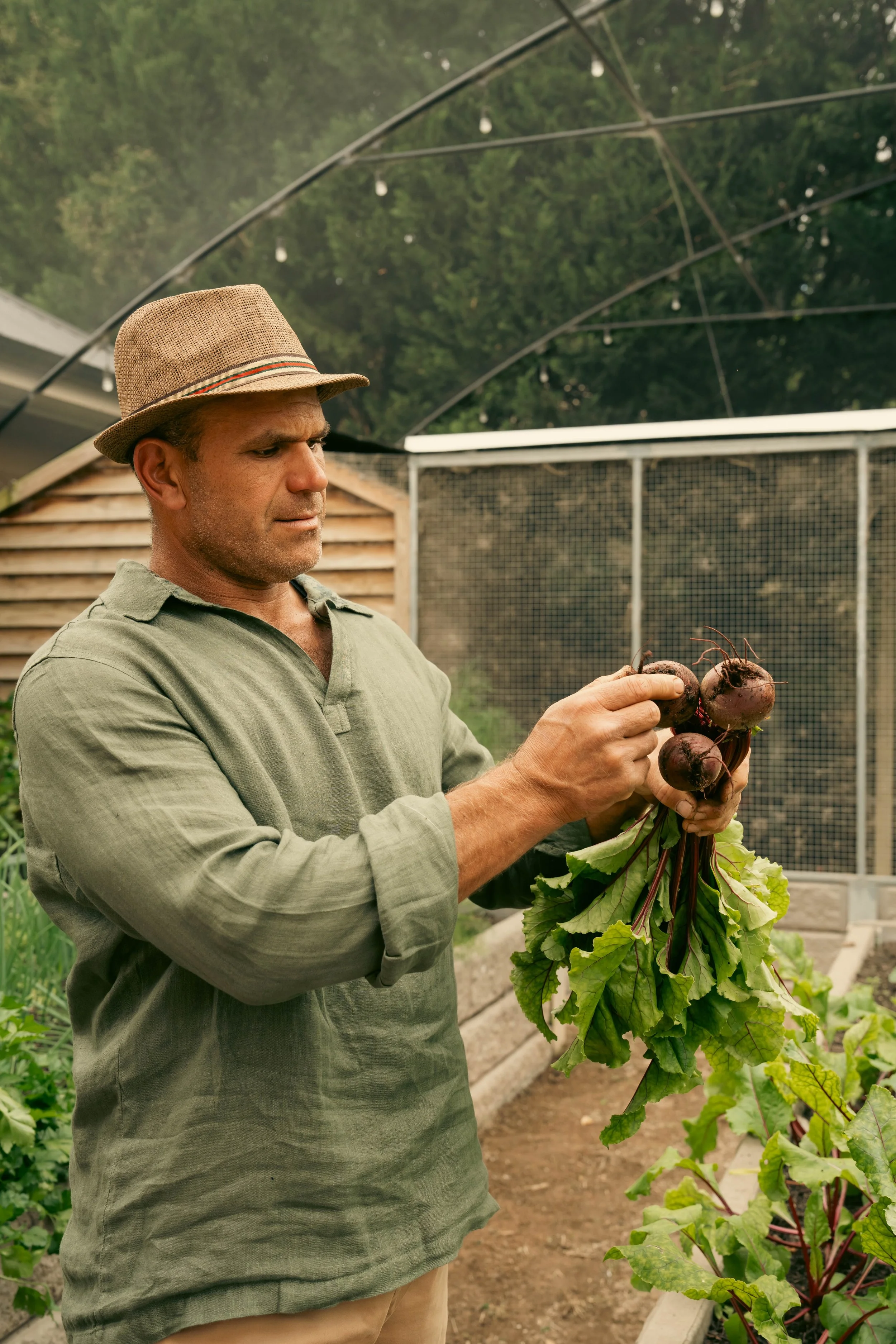 Jeffrey Borg harvesting fresh produce grown on the family farm.