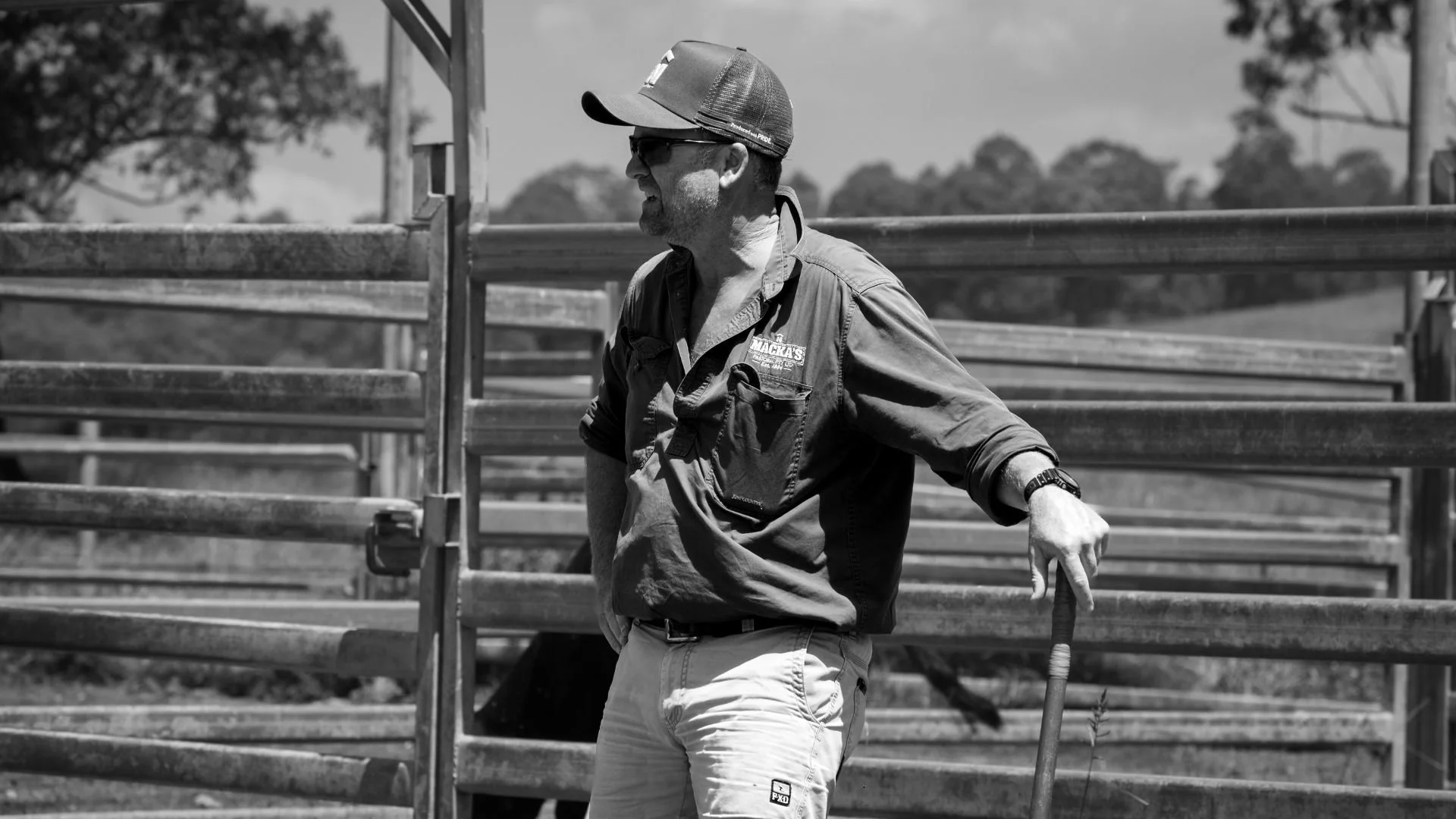 Portrait of stockman in cattle yards, photographed during sale campaign production.