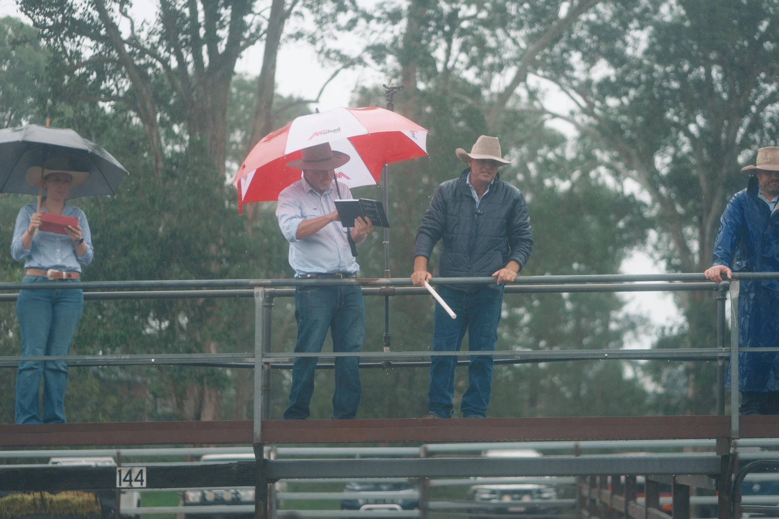 Producers, buyers and industry partners gathering for the Macka's Pastoral Commercial Female Sale, regardless of the season's conditions.
