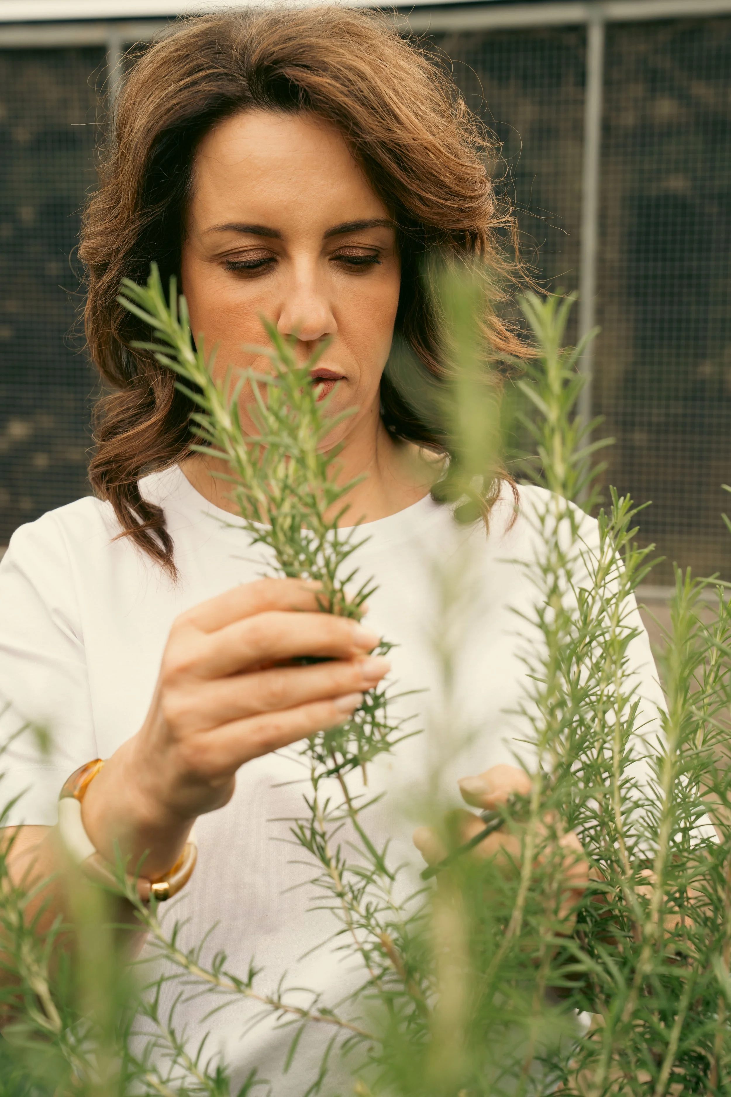 Germaine Borg selecting fresh herbs grown.