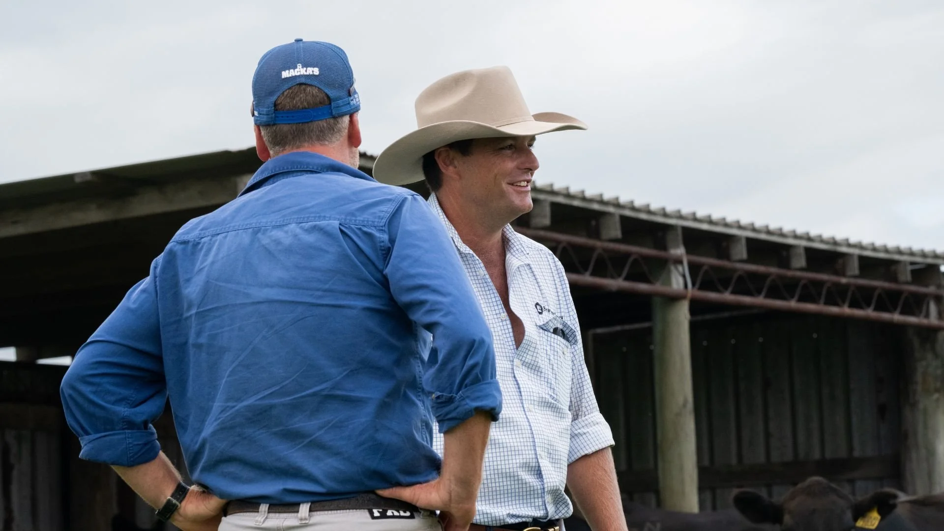 Conversations built over years of partnership, Macka’s Pastoral Commercial Female Sale campaign.