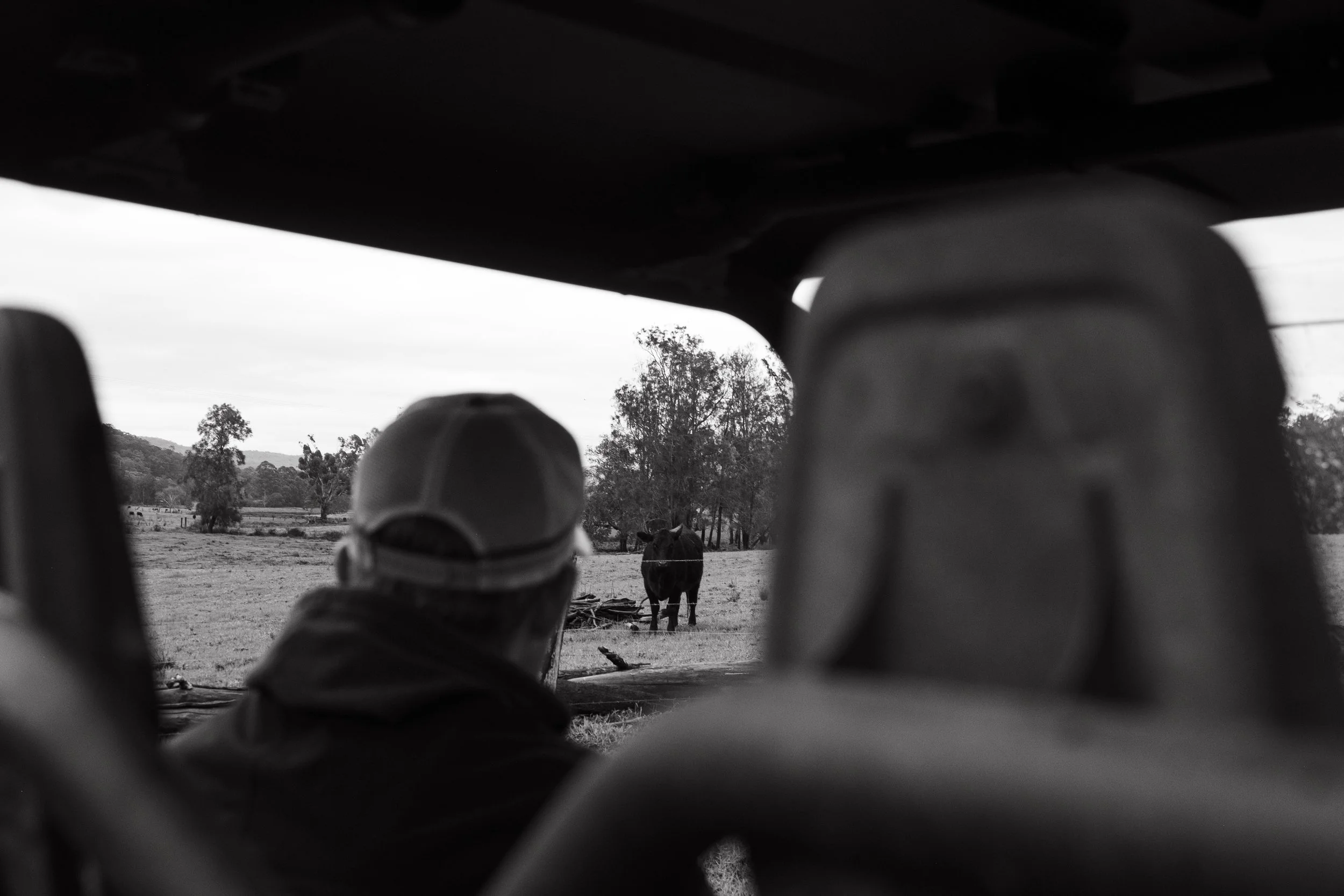 Boambee Angus Stud Manager Jamie Grosser inspecting Black Angus cattle and grazing country at Boambee Angus, a family-owned Angus stud focused on breeding commercially relevant cattle for Australian producers.