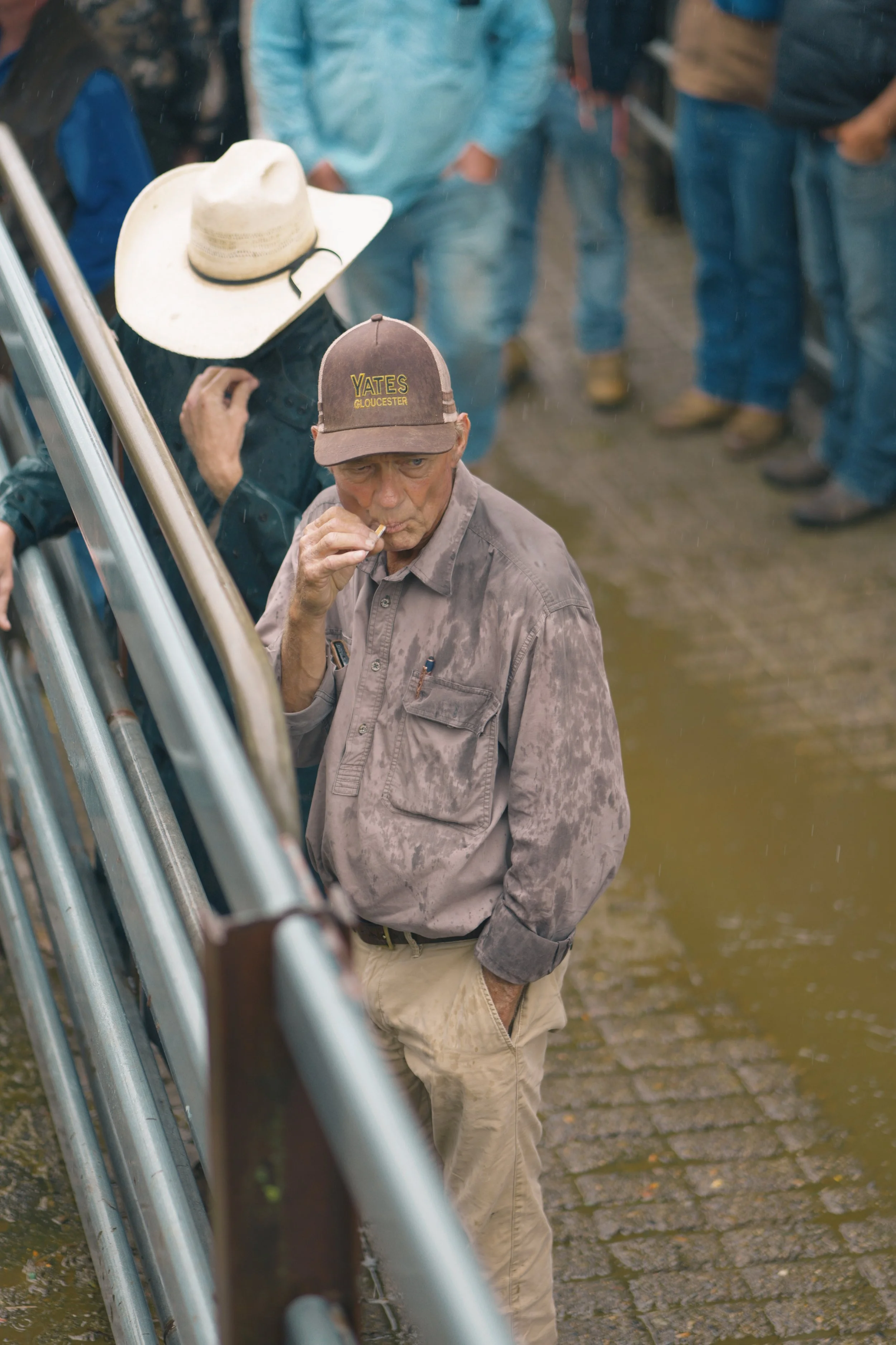 Sale day is as much about relationships as it is about cattle, bringing together producers, agents and buyers from across the region.