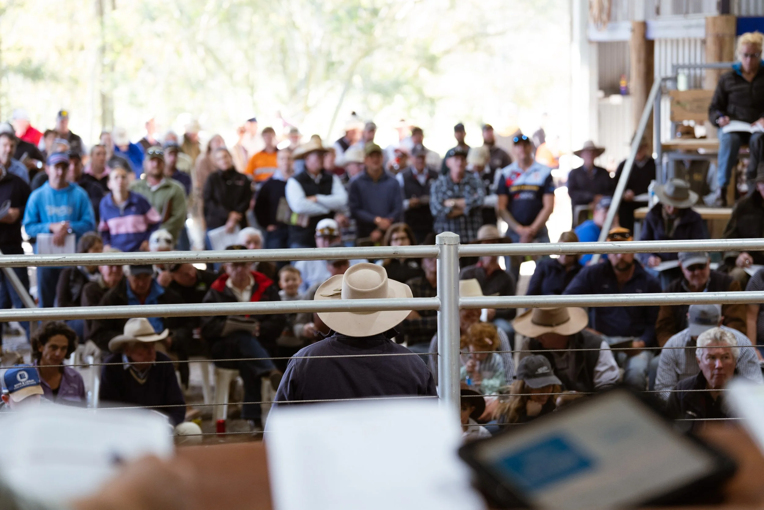 Buyers and visitors gathered at Boambee Angus for the 2026 Bull & Female Sale at East Seaham, NSW.