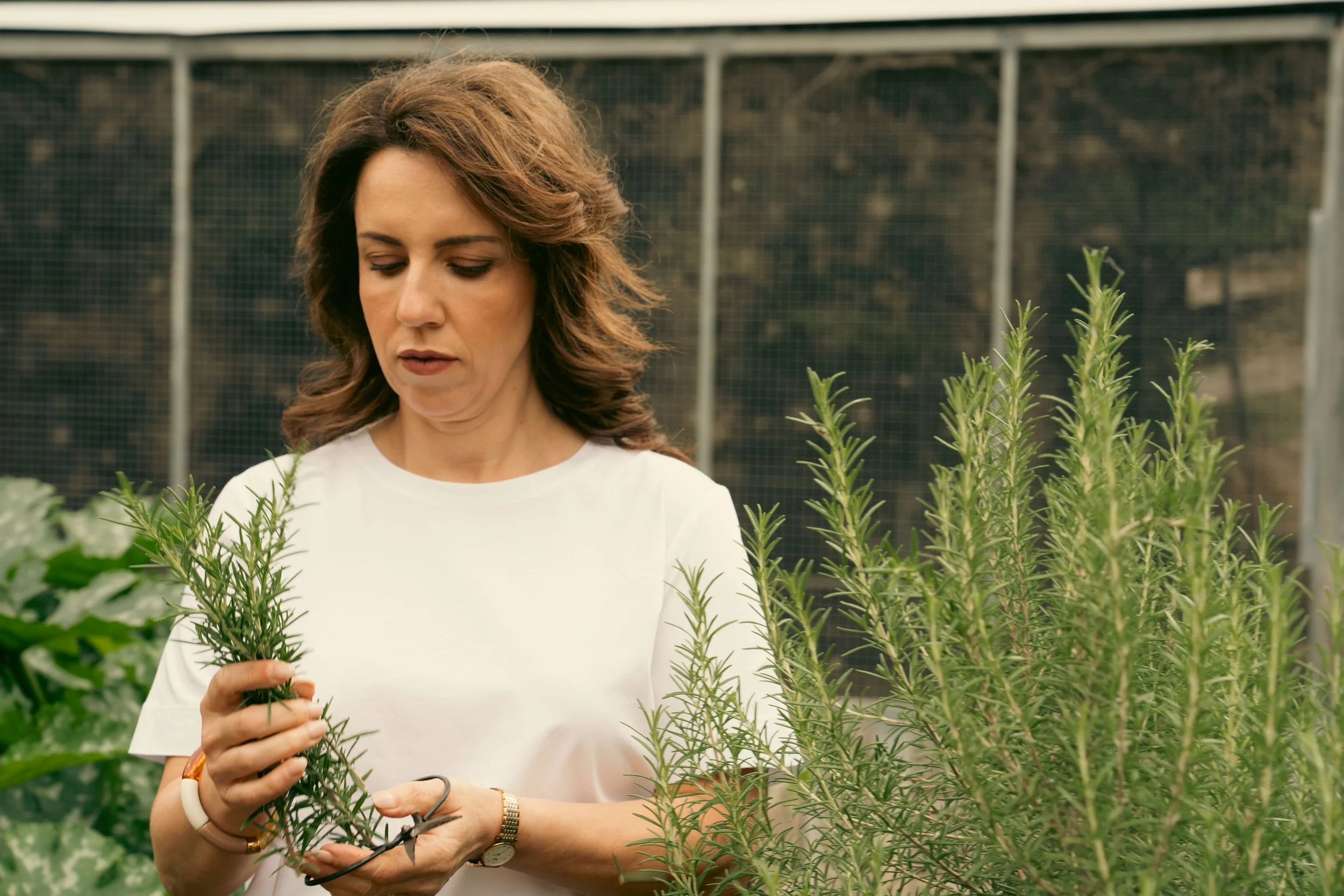 Germaine Borg inspecting fresh herbs grown for Elora Fine Farming.
