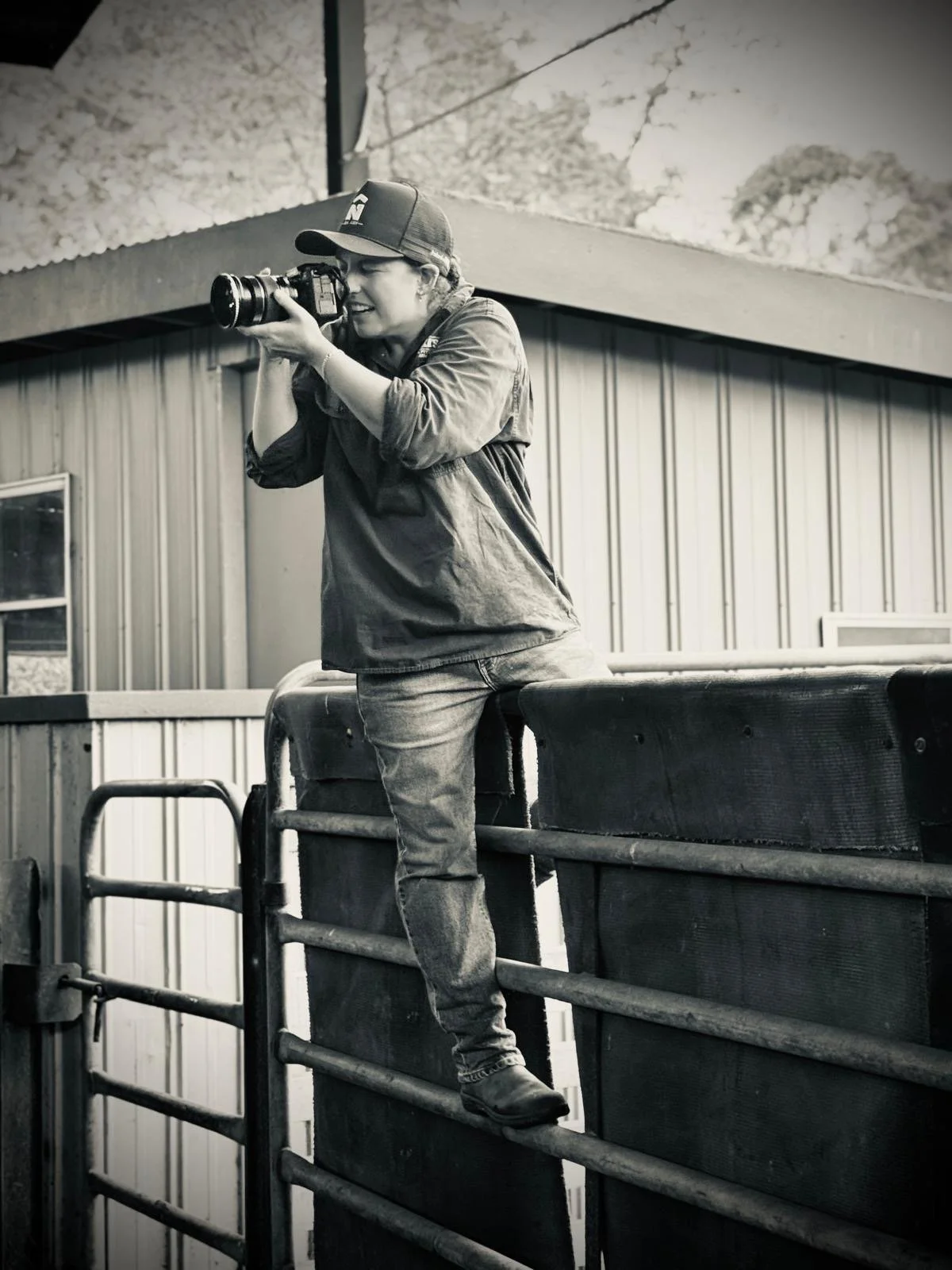 Stray Studio photographer Nic Maloney photographing on location at the Macka’s Pastoral 2026 Commercial Female Sale.