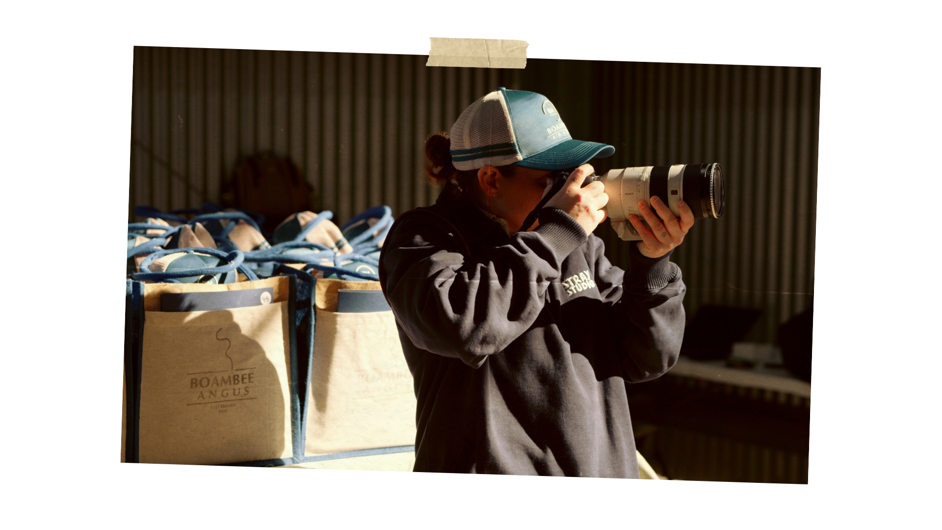 Stray Studio photographer Nic Maloney documenting the Boambee Angus 2026 Bull & Female Sale.