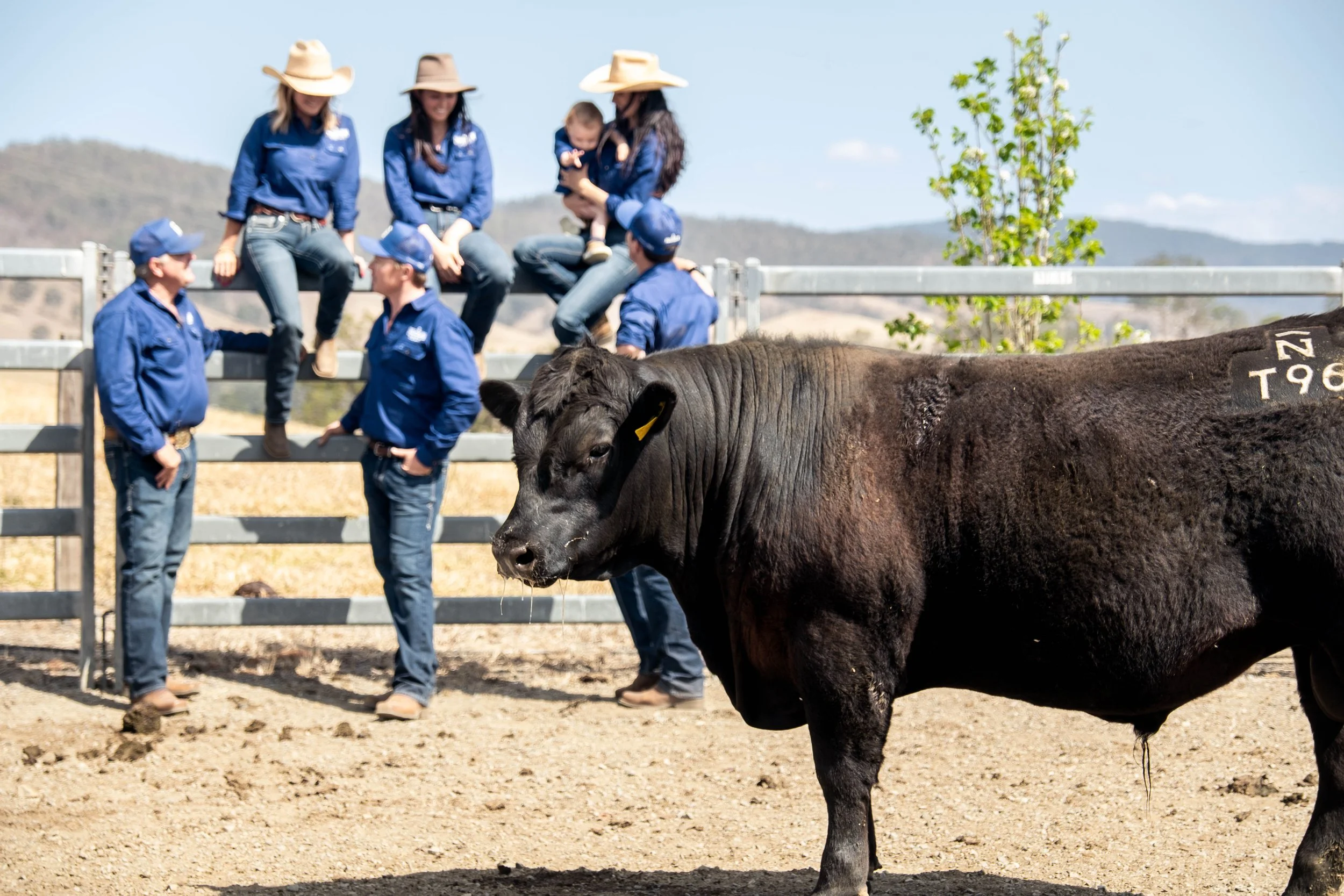 Just Country apparel photographed in a working agricultural environment, reflecting the people, livestock and landscapes the brand was built for.