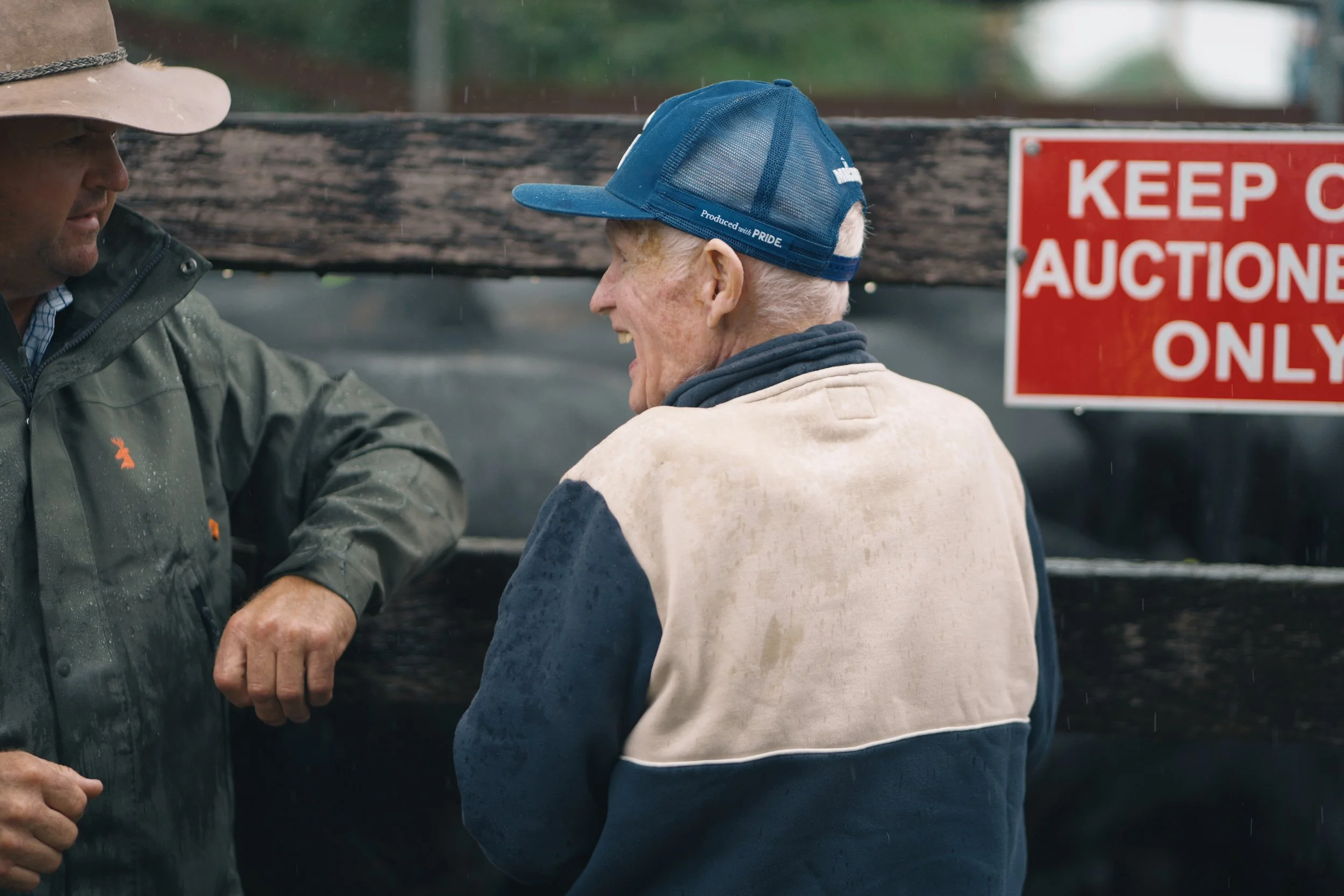 Relationships built over years of trust and shared experience are a defining part of the Macka's Pastoral Commercial Female Sale.