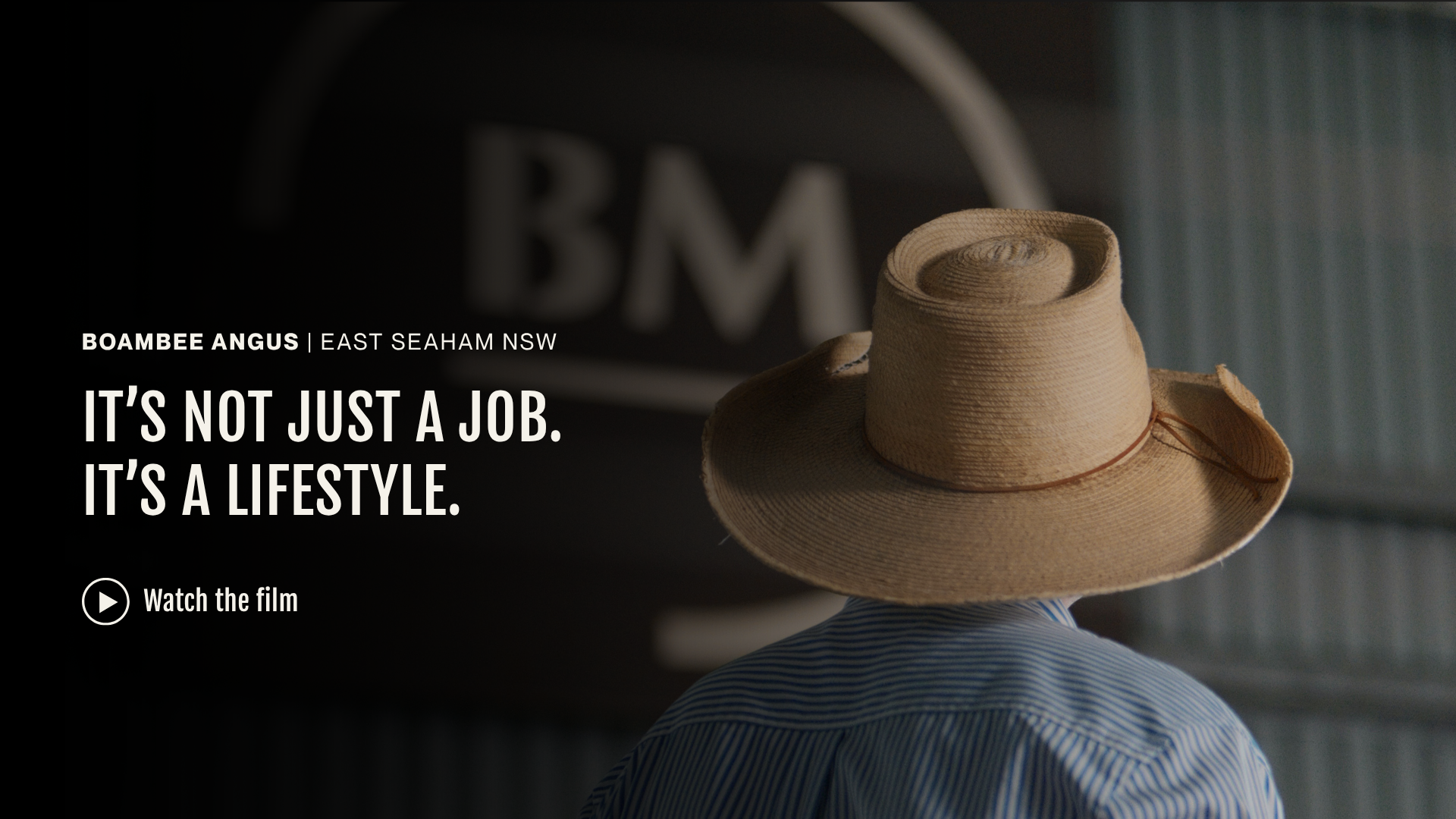 Boambee Angus project. Documentary photography and film created by Stray Studio for the East Seaham cattle producer.