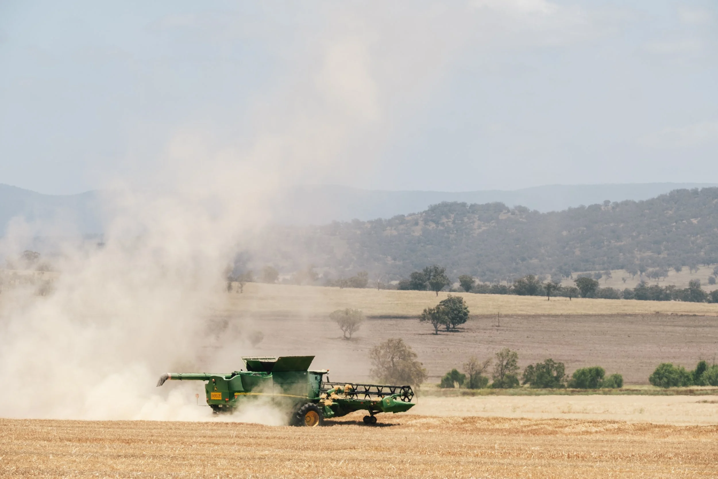 Combine harvester operating during wheat harvest in regional Australia.