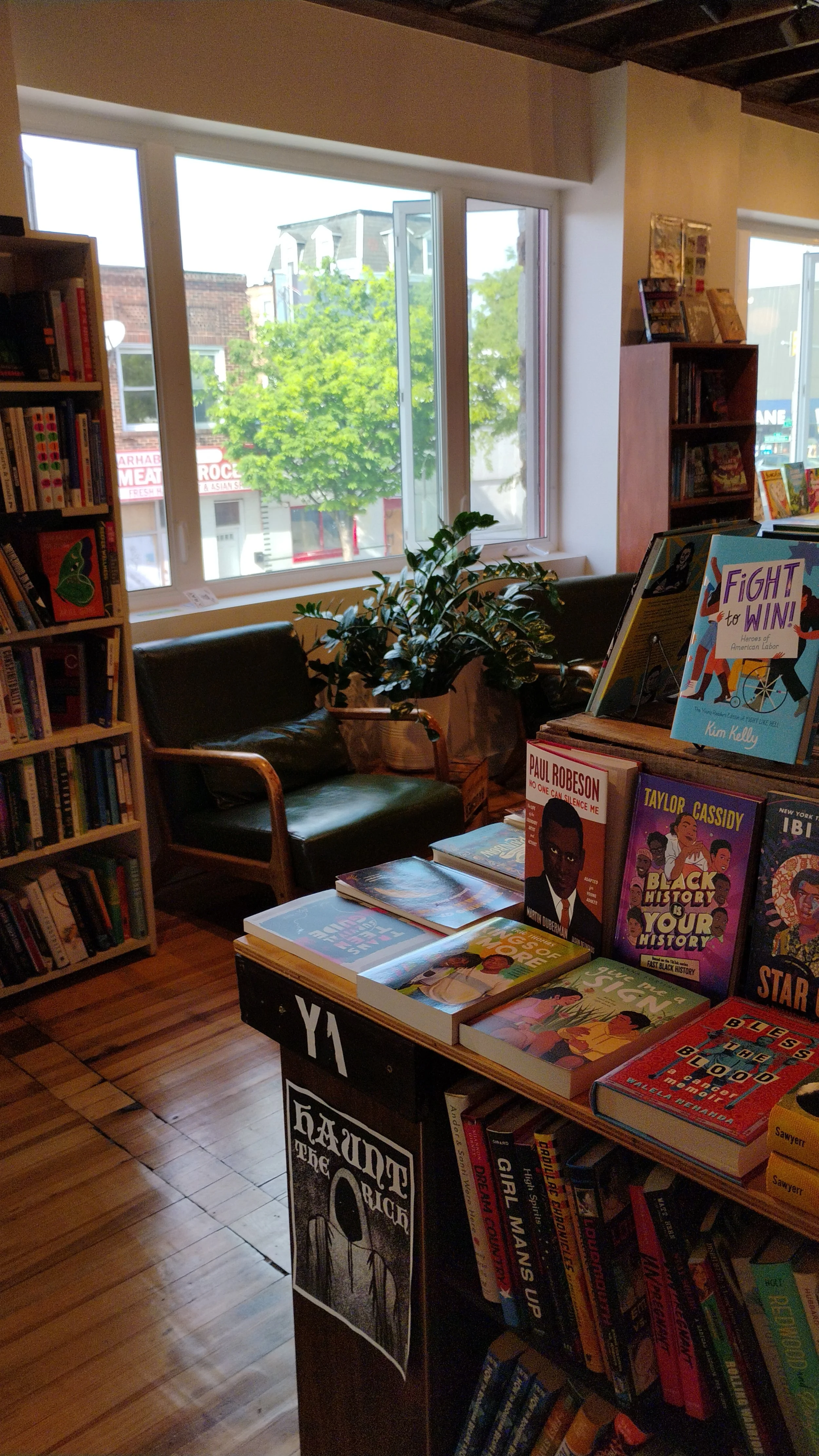 Inside a bookstore with books on display, a potted plant, and a wooden chair near a large window with trees and buildings visible outside.