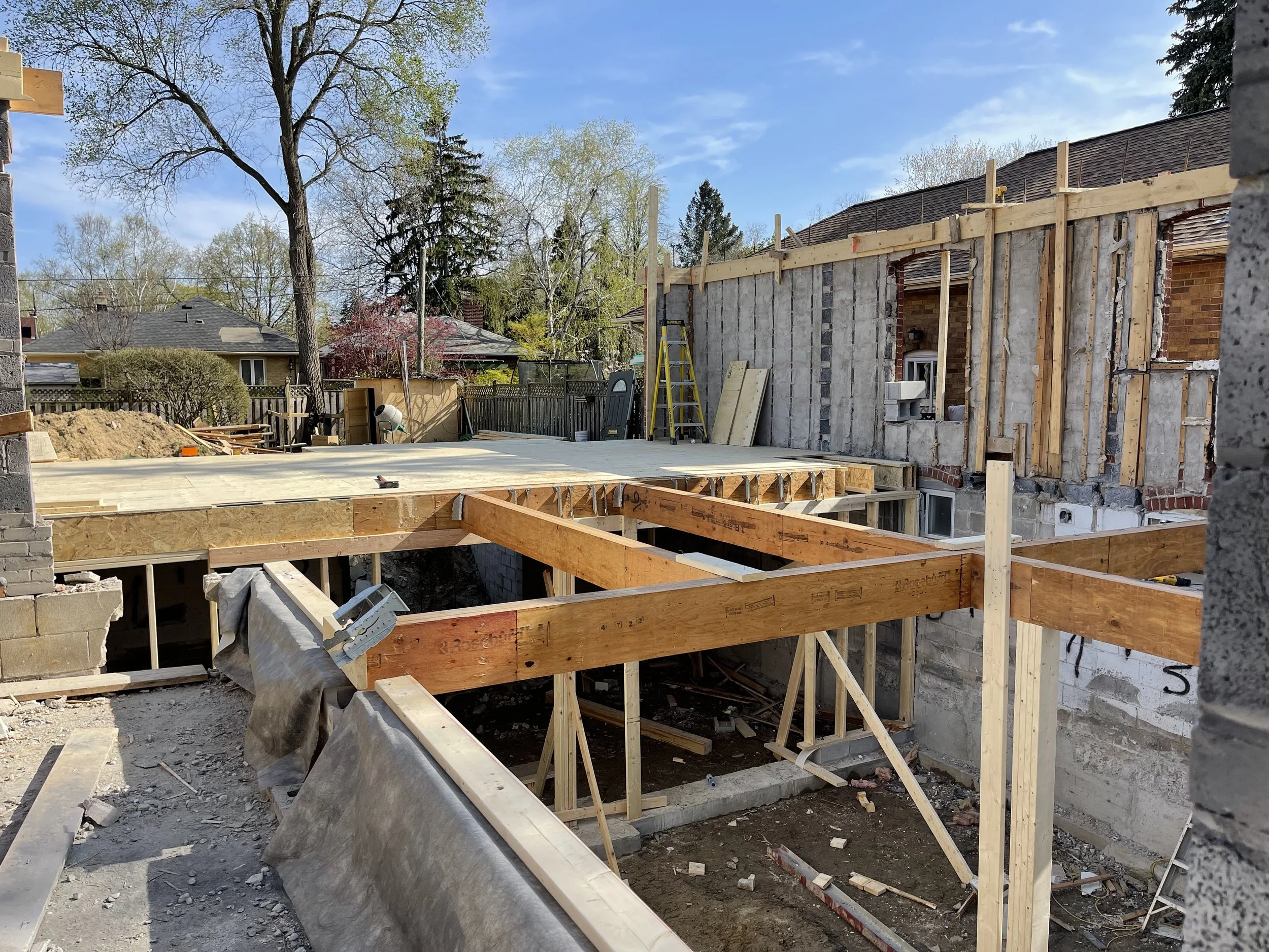 IMG_4767.jpeg