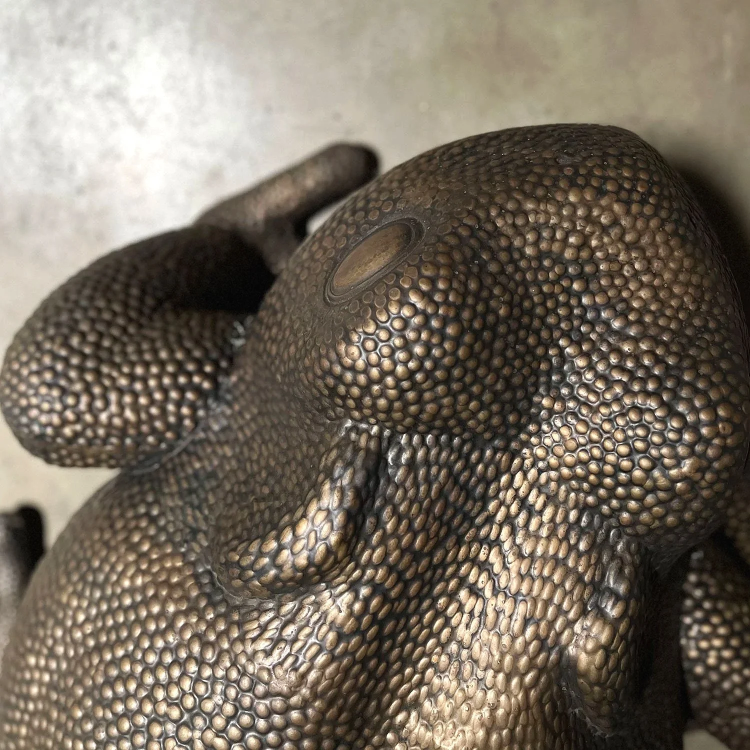 Sculpture Collection