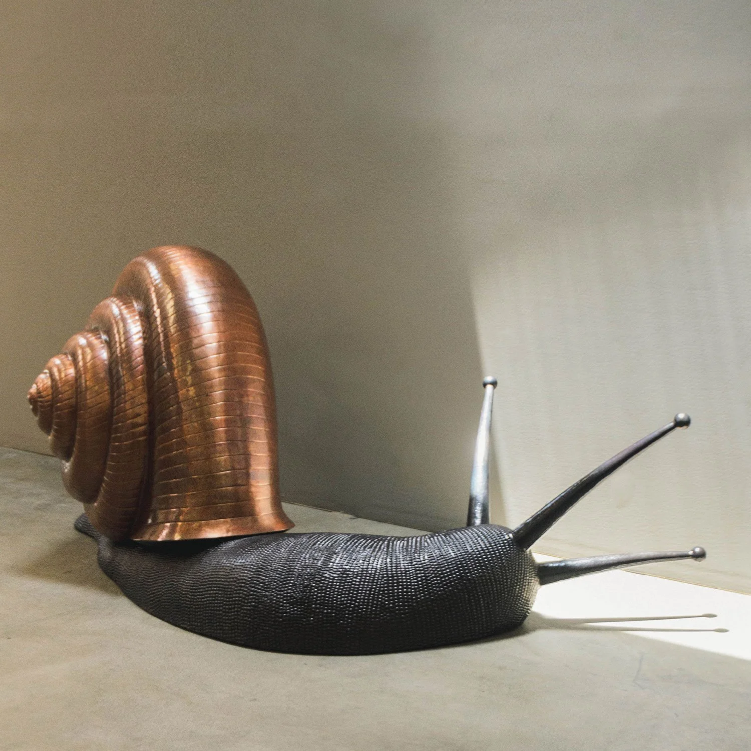 GiantSnail.jpg