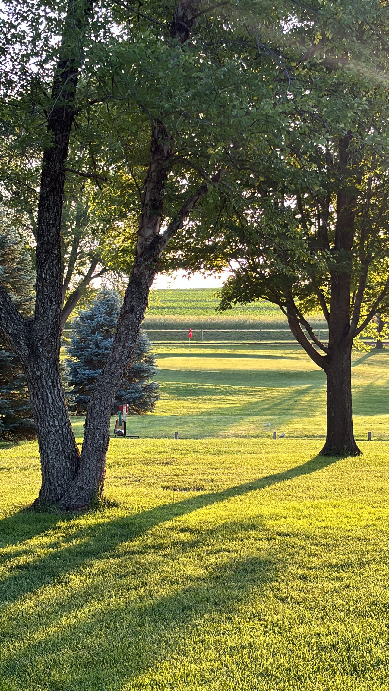 A golf course with neatly mowed grass and a flag on the putting green, viewed through trees casting long shadows in the late afternoon sun.